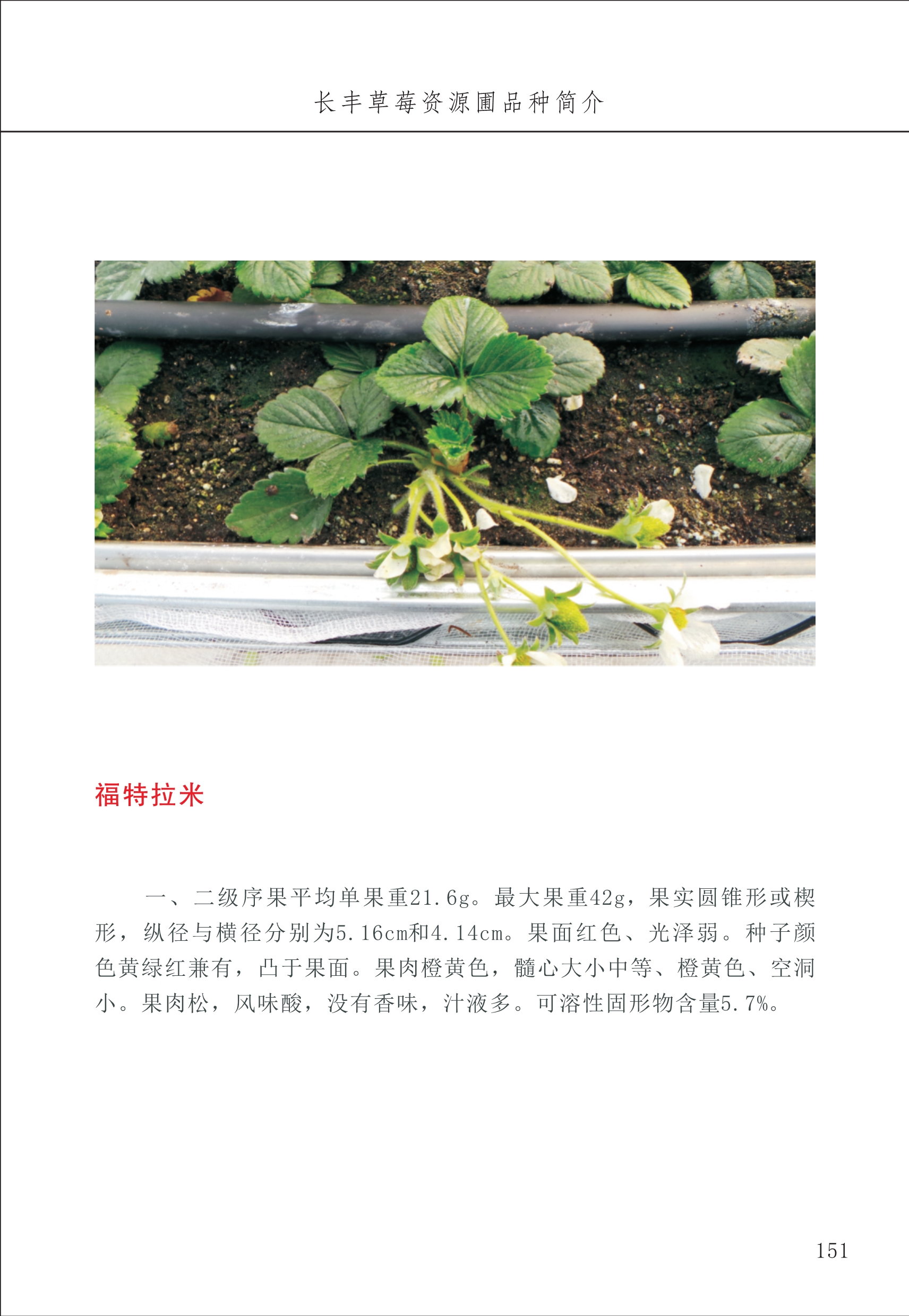 長豐農(nóng)技中心2_51.jpg