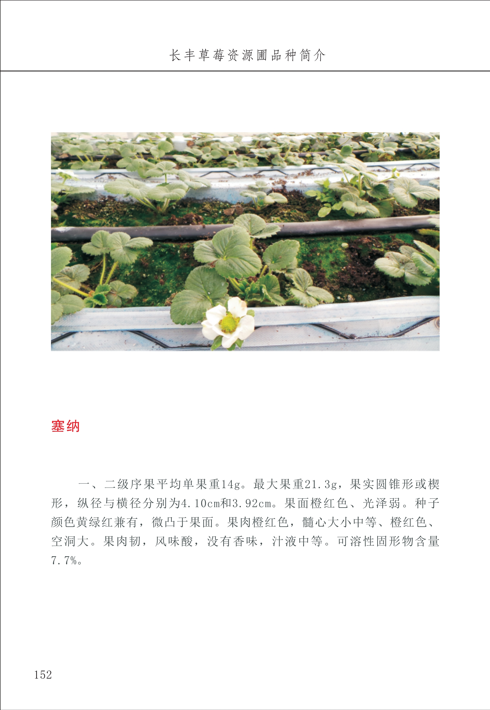 長豐農(nóng)技中心2_52.jpg