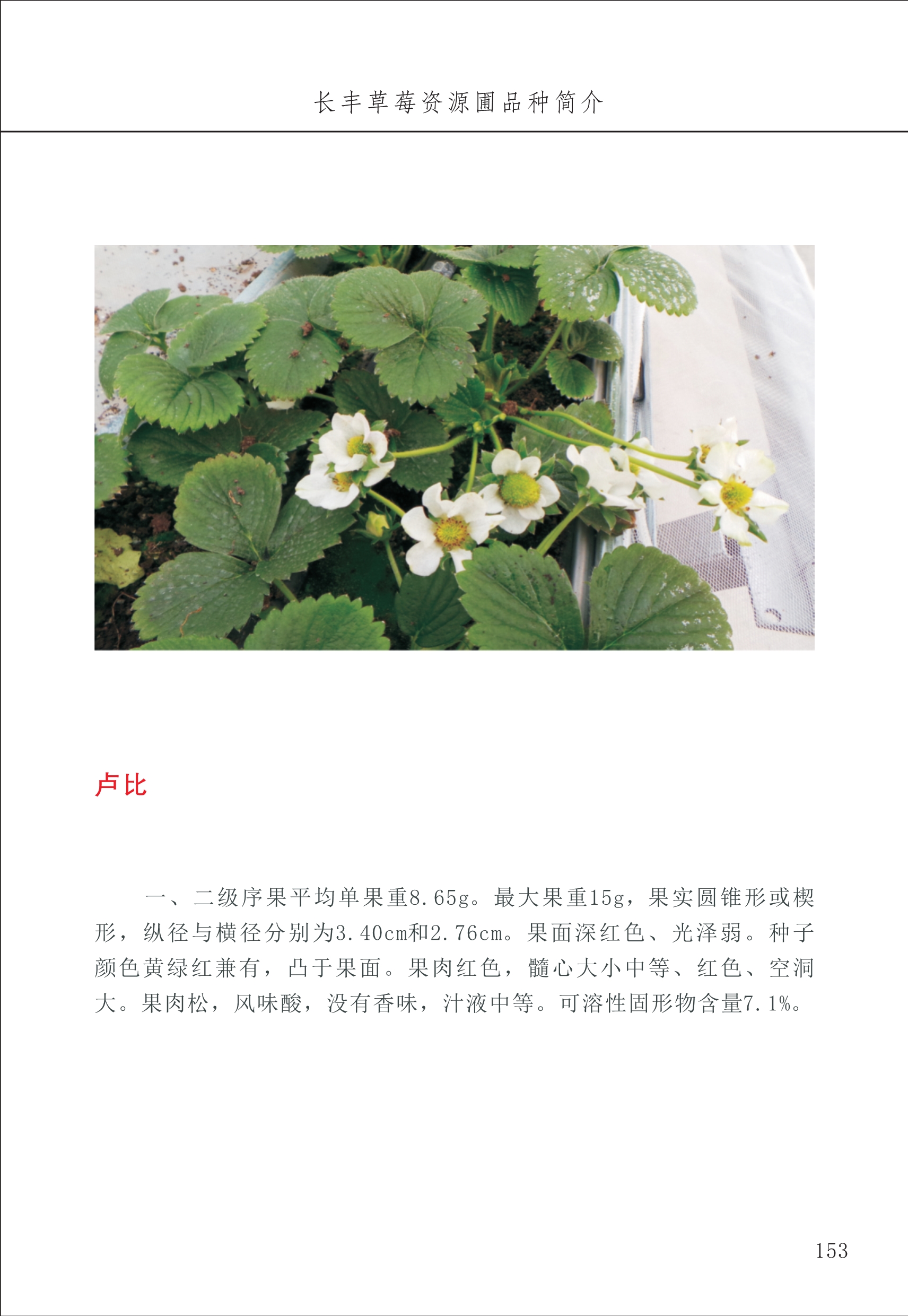 長(zhǎng)豐農(nóng)技中心2_53.jpg