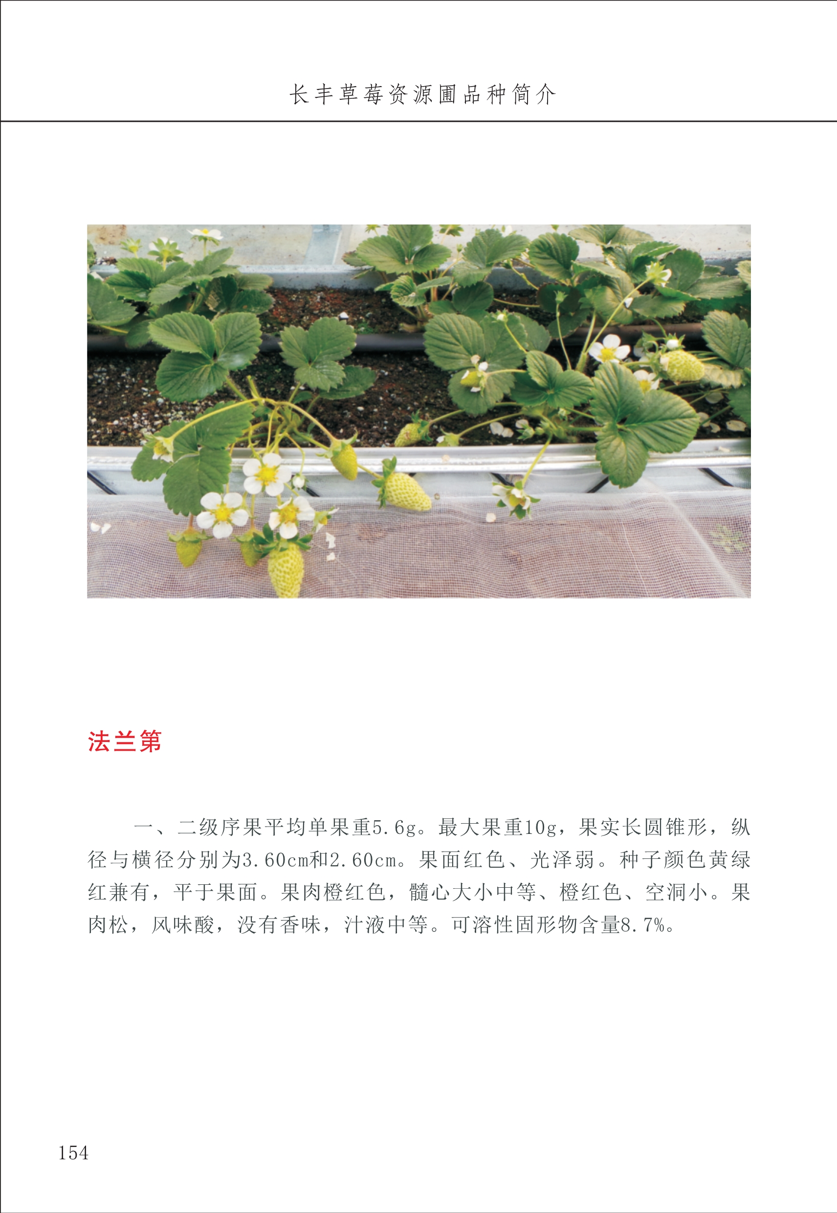 長(zhǎng)豐農(nóng)技中心2_54.jpg