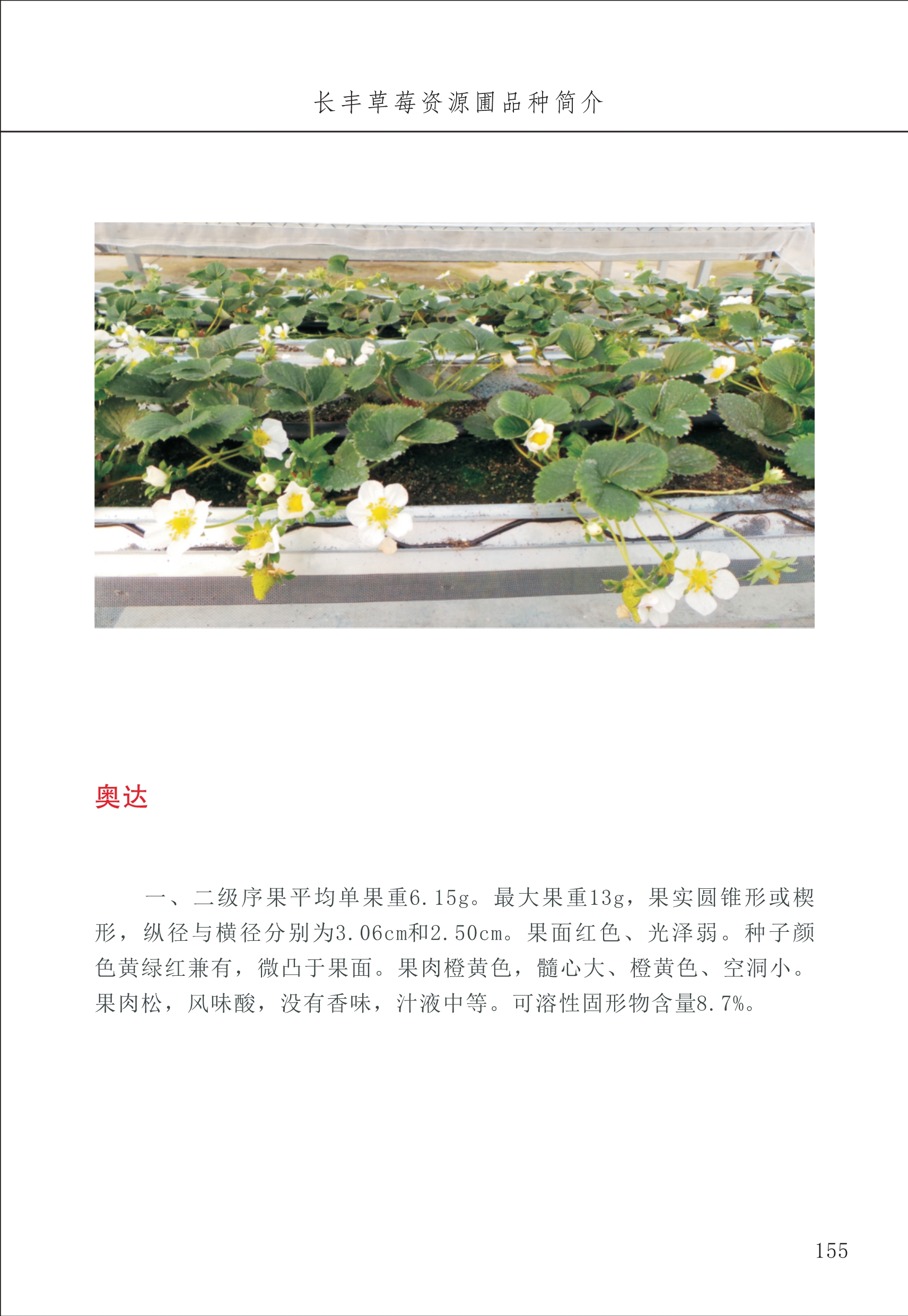 長豐農(nóng)技中心2_55.jpg