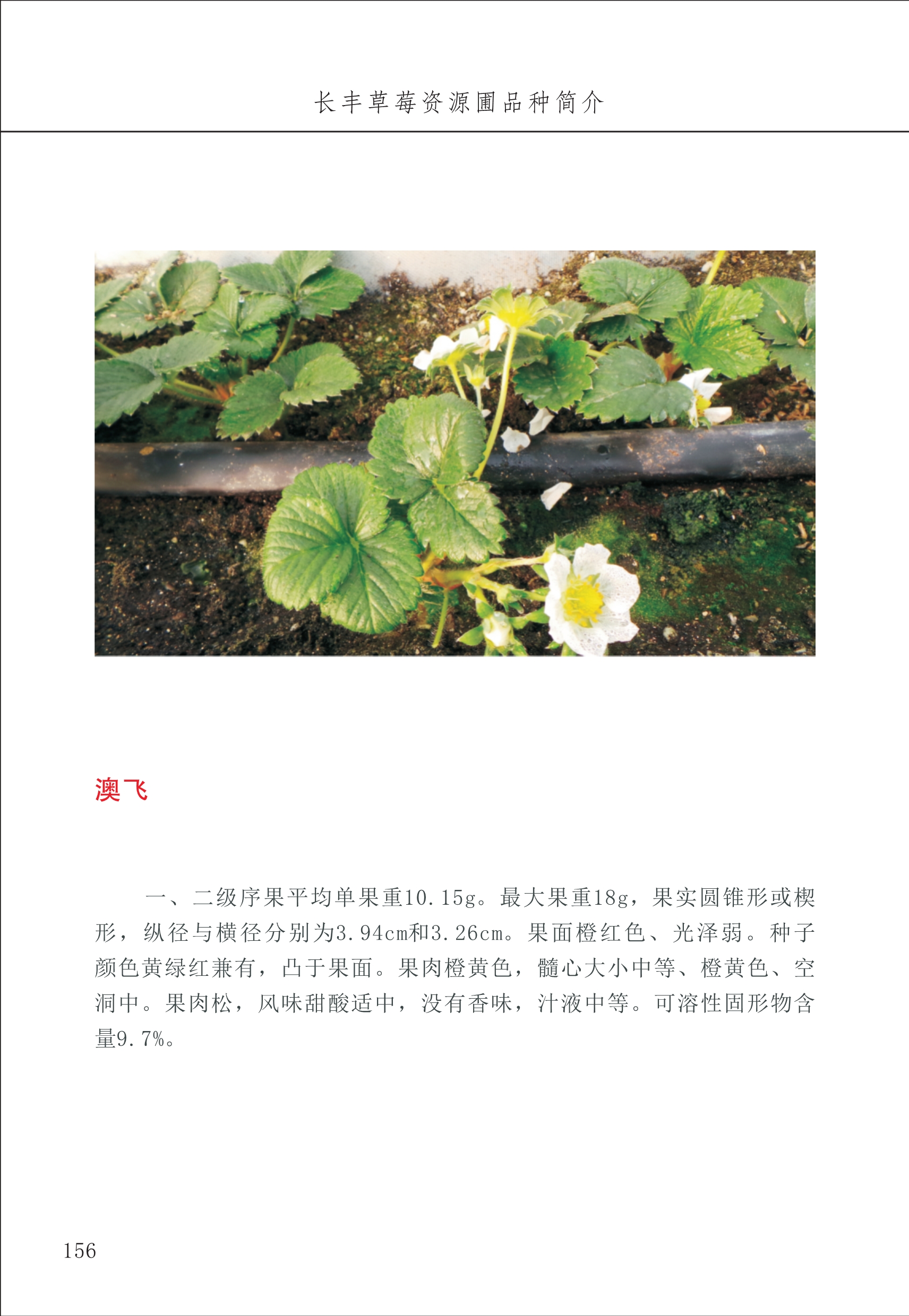 長豐農技中心2_56.jpg