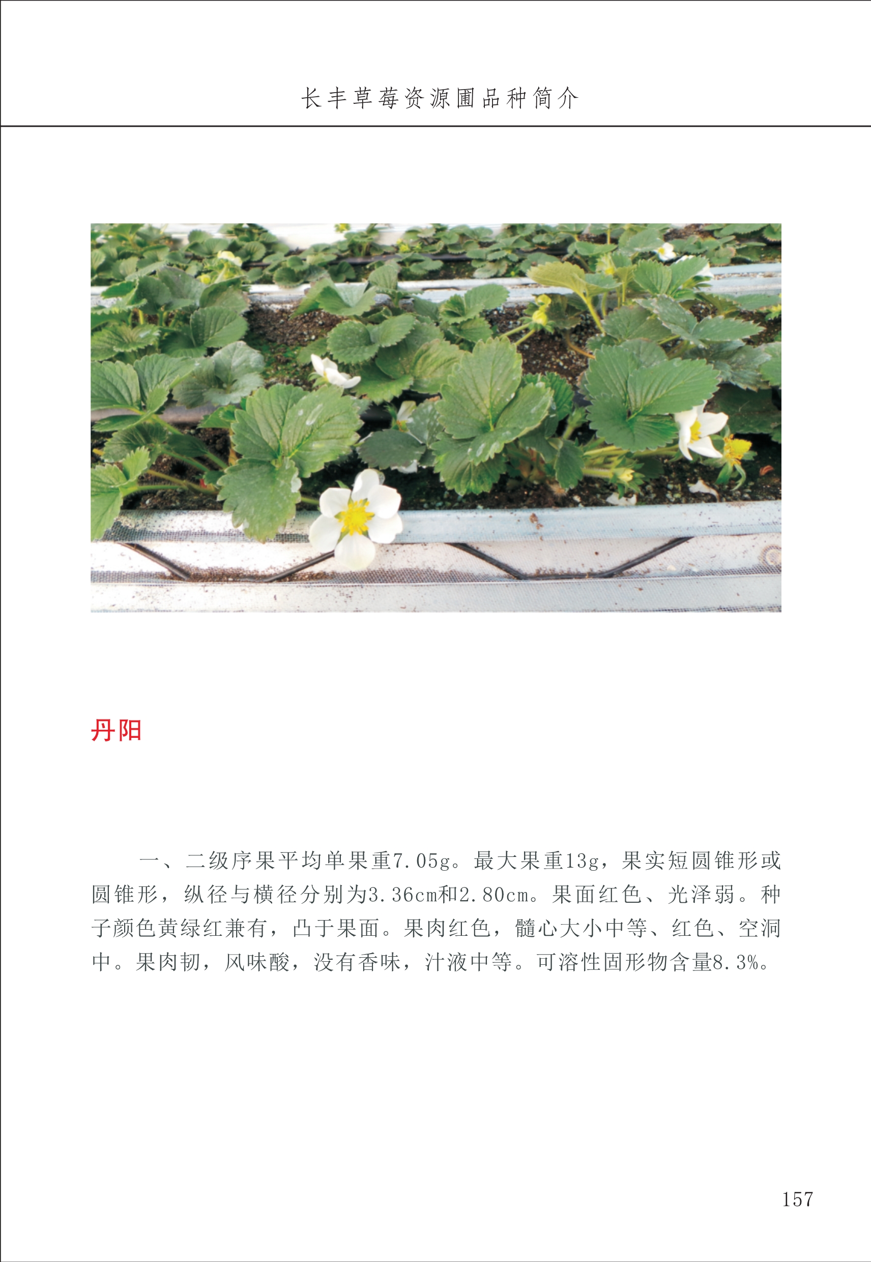 長豐農(nóng)技中心2_57.jpg
