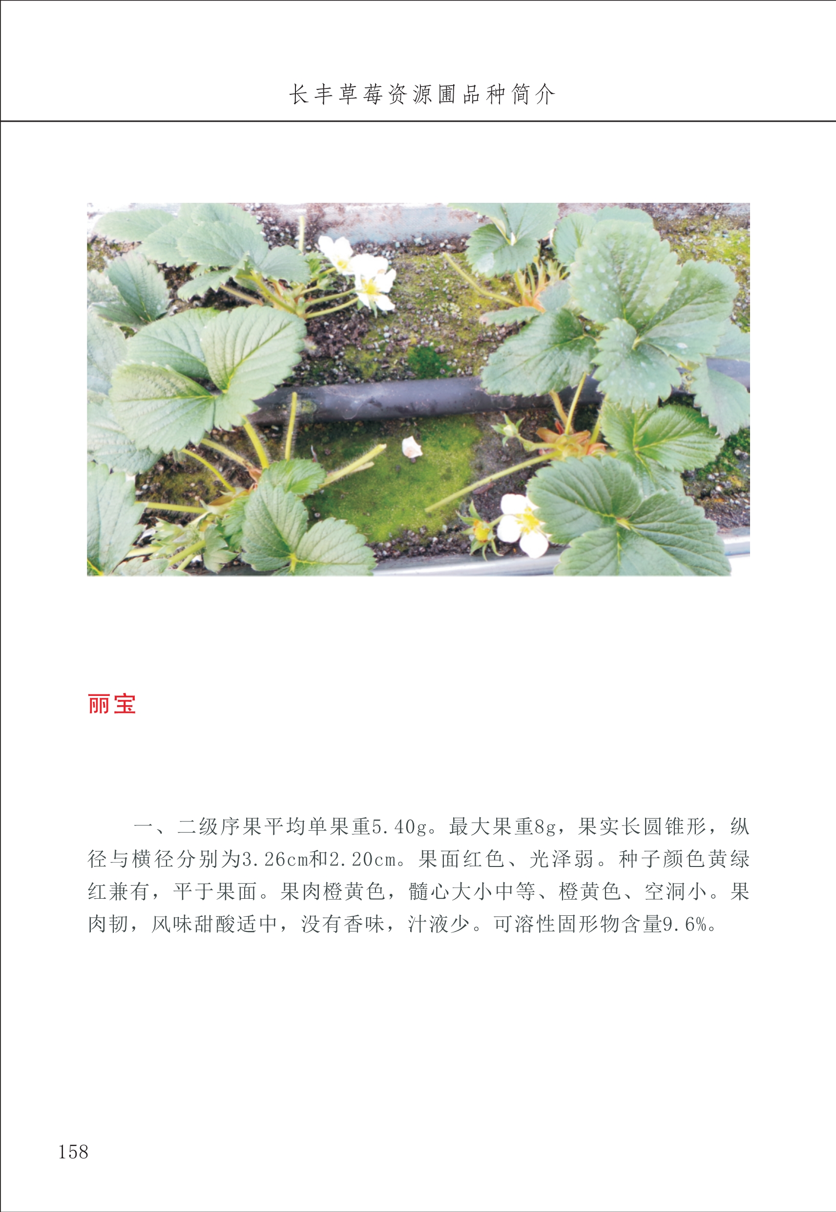 長(zhǎng)豐農(nóng)技中心2_58.jpg
