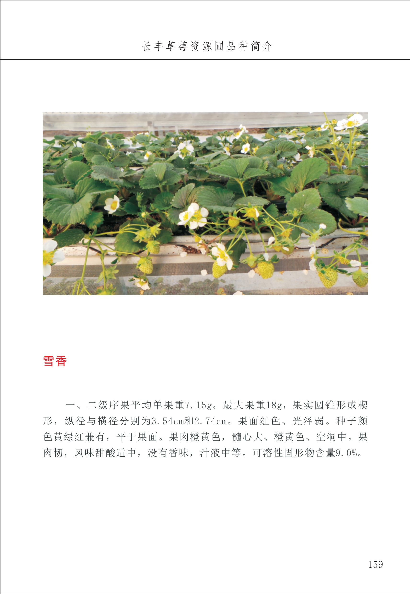 長豐農(nóng)技中心2_59.jpg