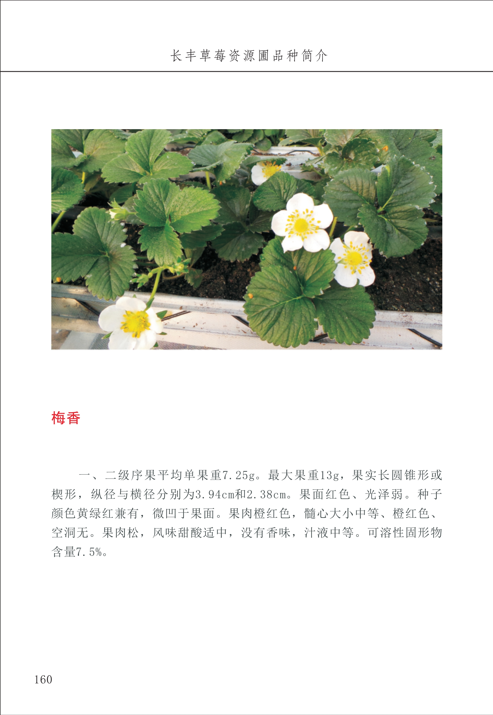 長豐農(nóng)技中心2_60.jpg