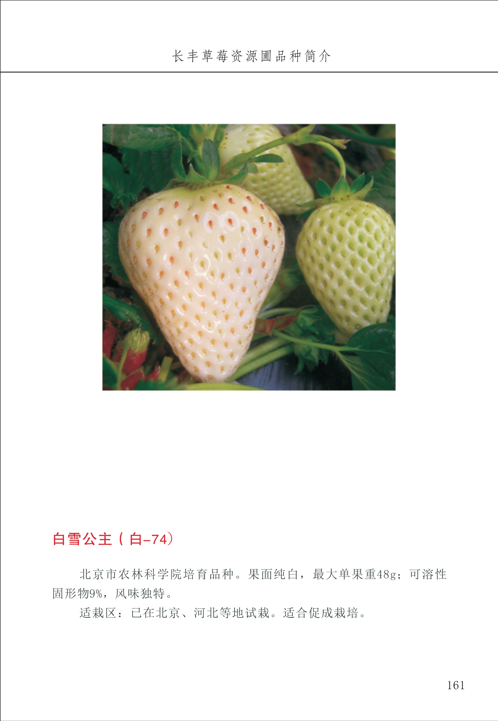 長豐農(nóng)技中心2_61.jpg