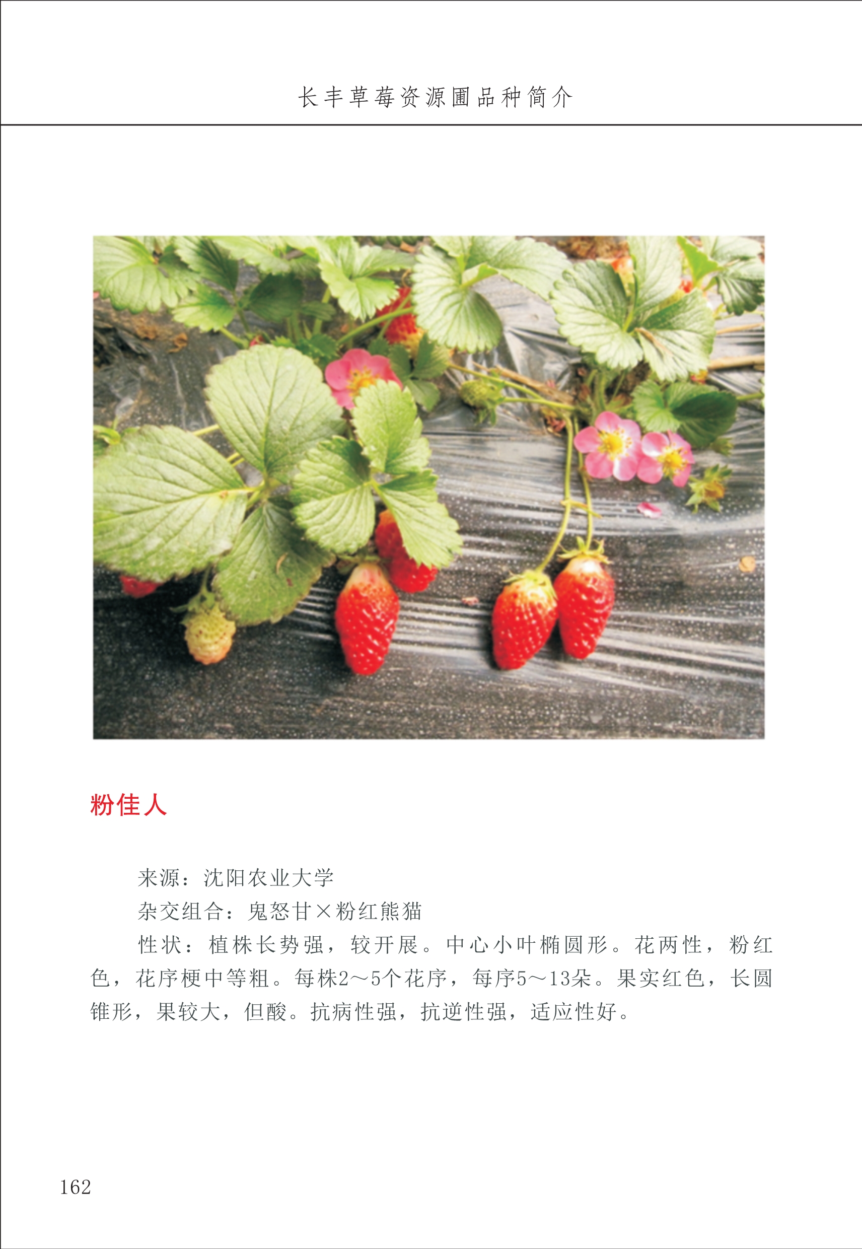 長(zhǎng)豐農(nóng)技中心2_62.jpg