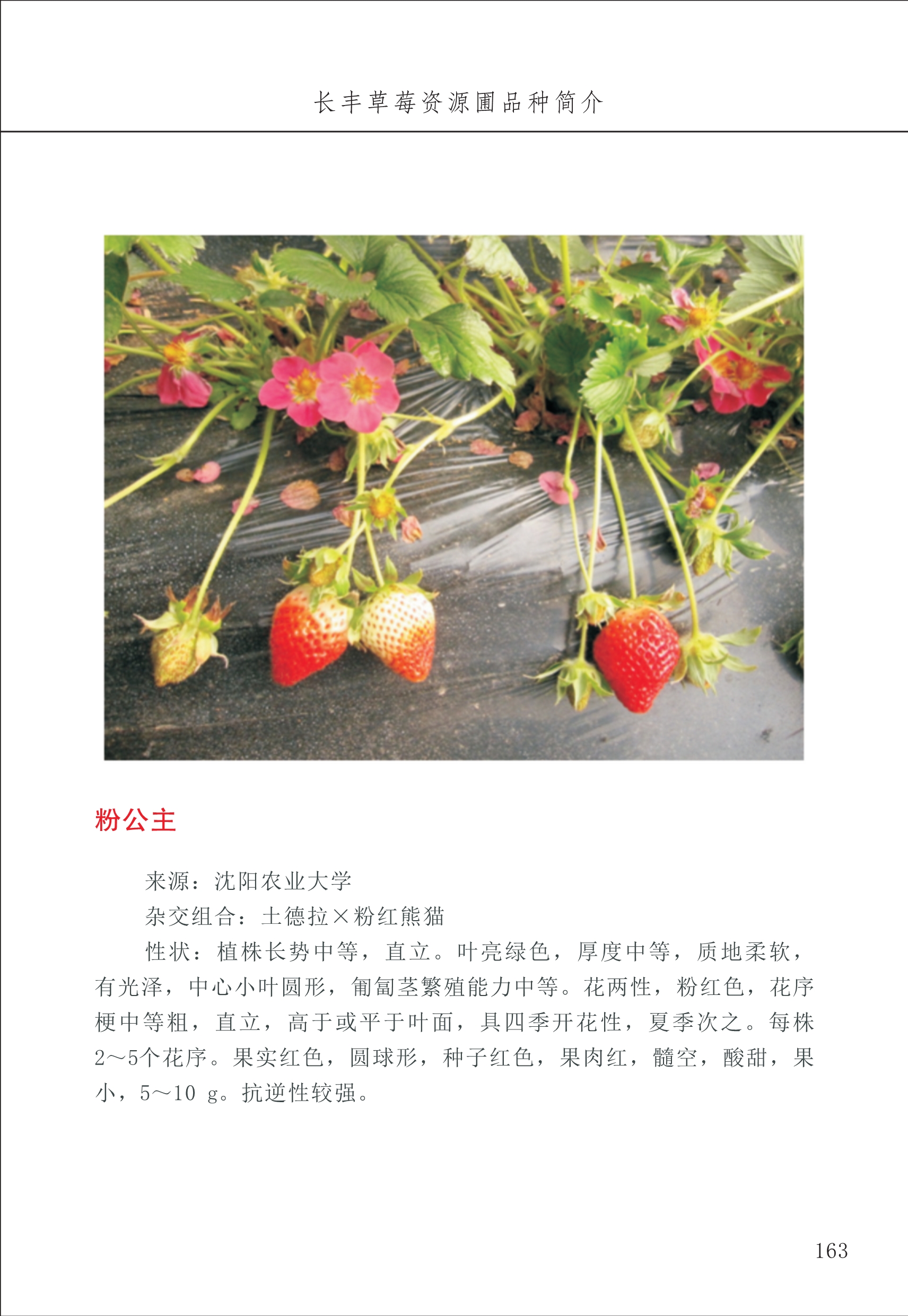 長(zhǎng)豐農(nóng)技中心2_63.jpg