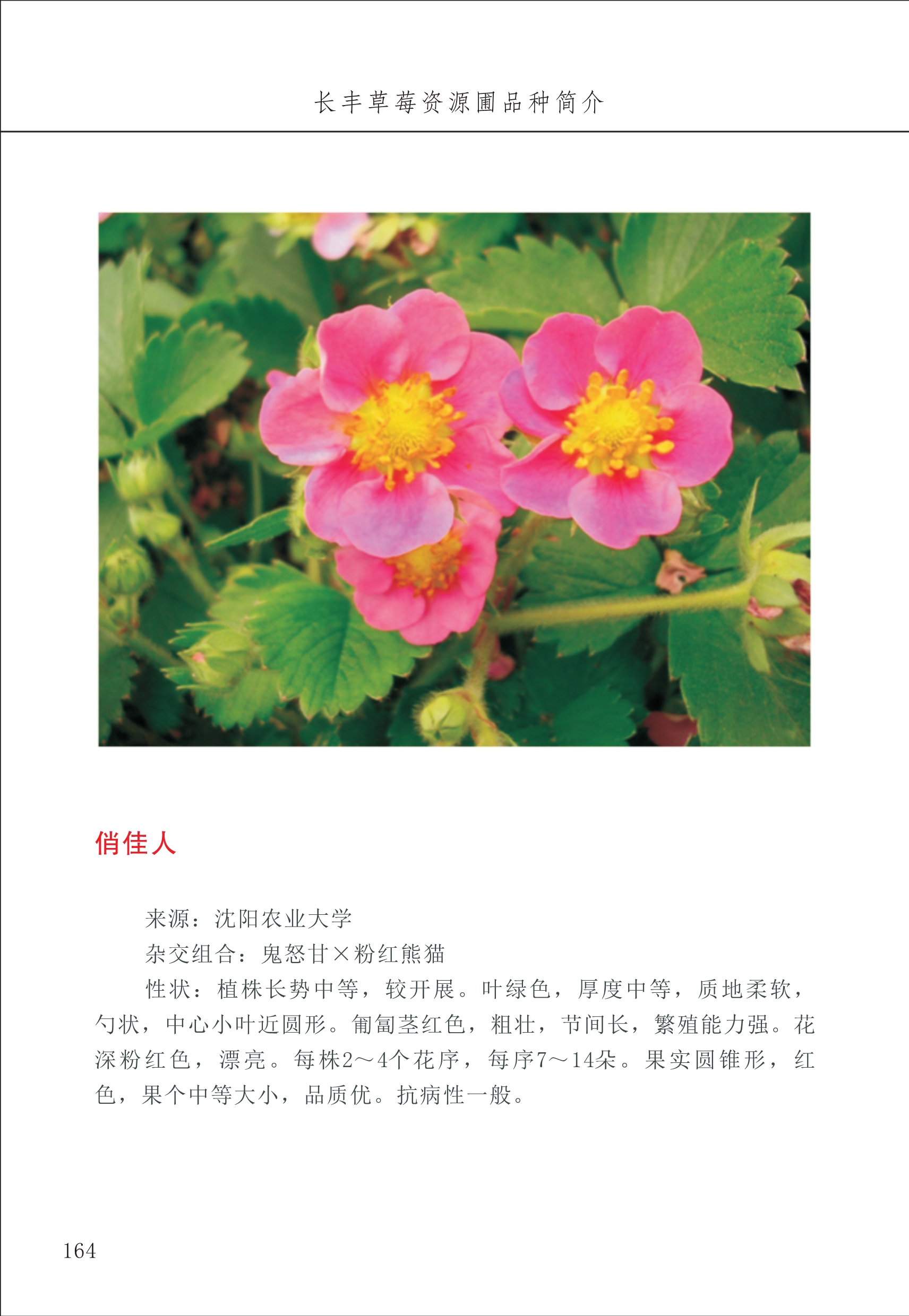 長豐農(nóng)技中心2_64.jpg