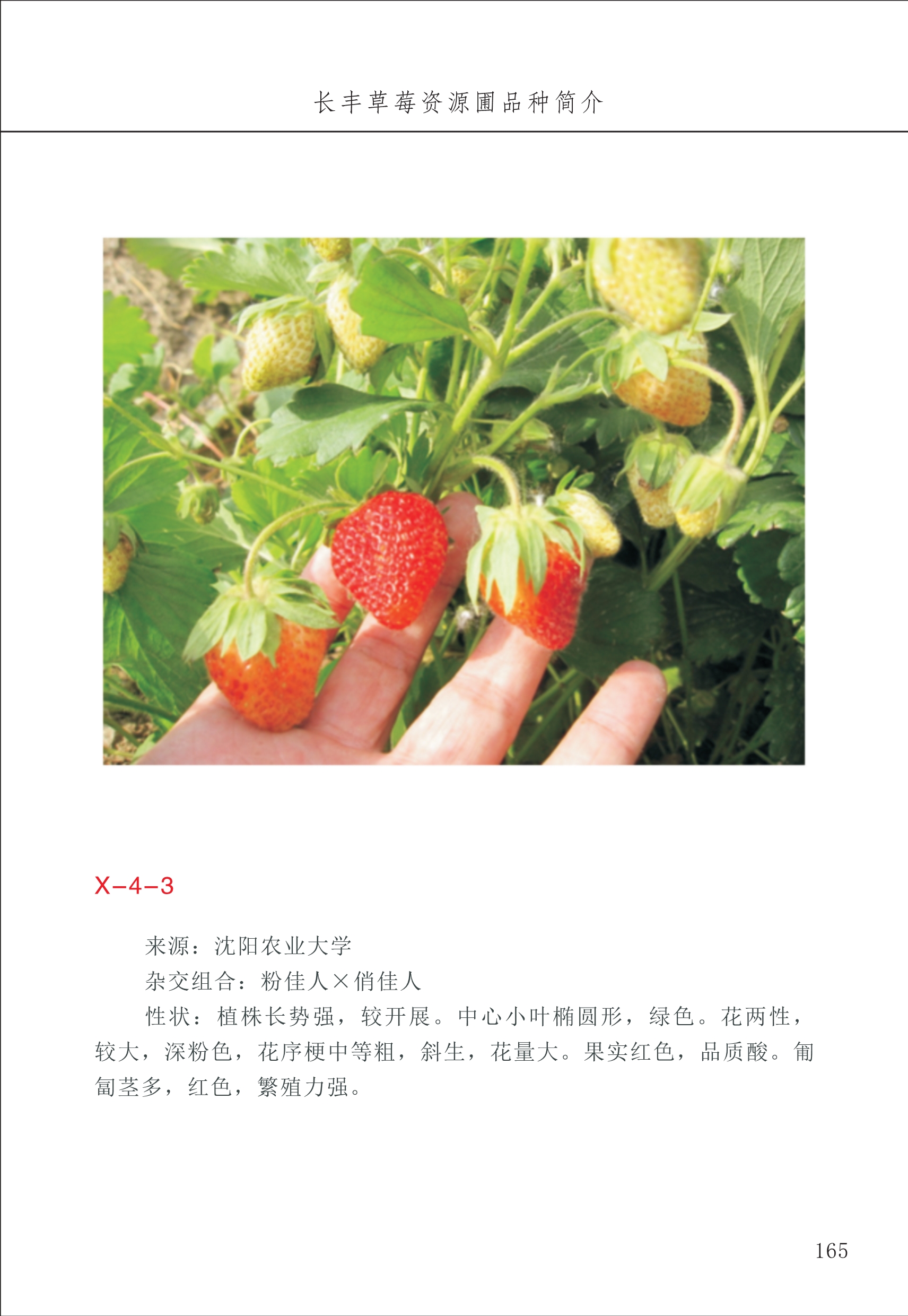 長(zhǎng)豐農(nóng)技中心2_65.jpg