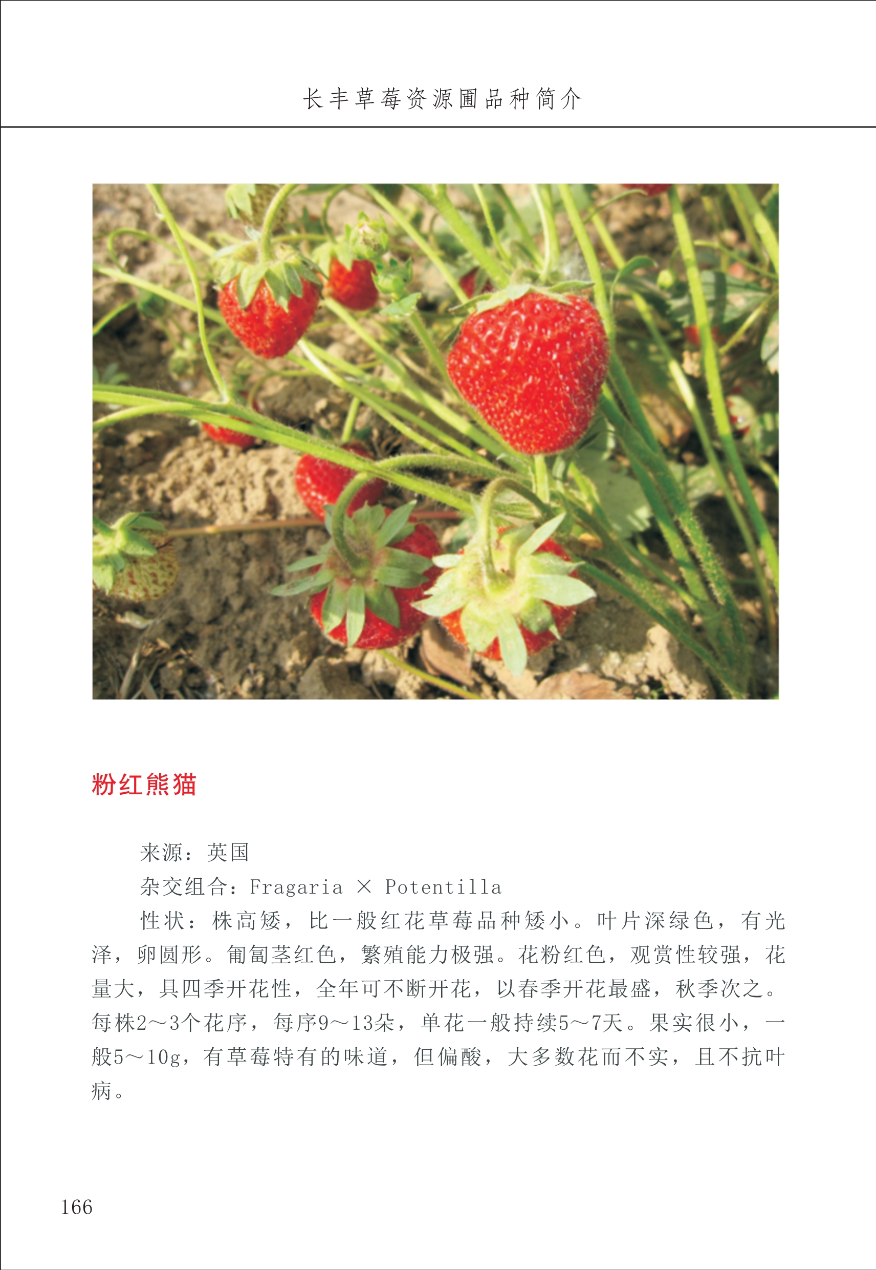 長(zhǎng)豐農(nóng)技中心2_66.jpg