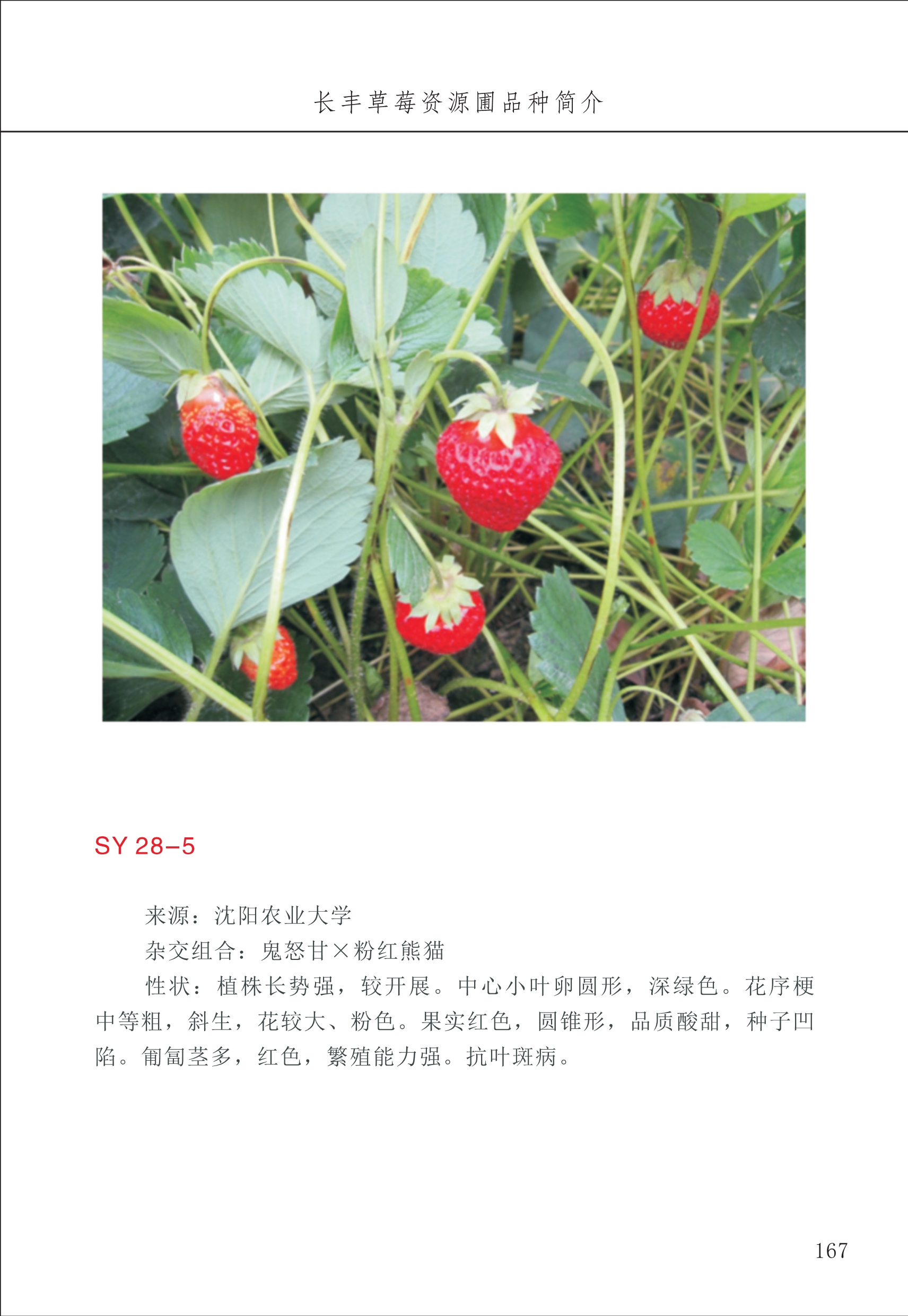 長(zhǎng)豐農(nóng)技中心2_67.jpg