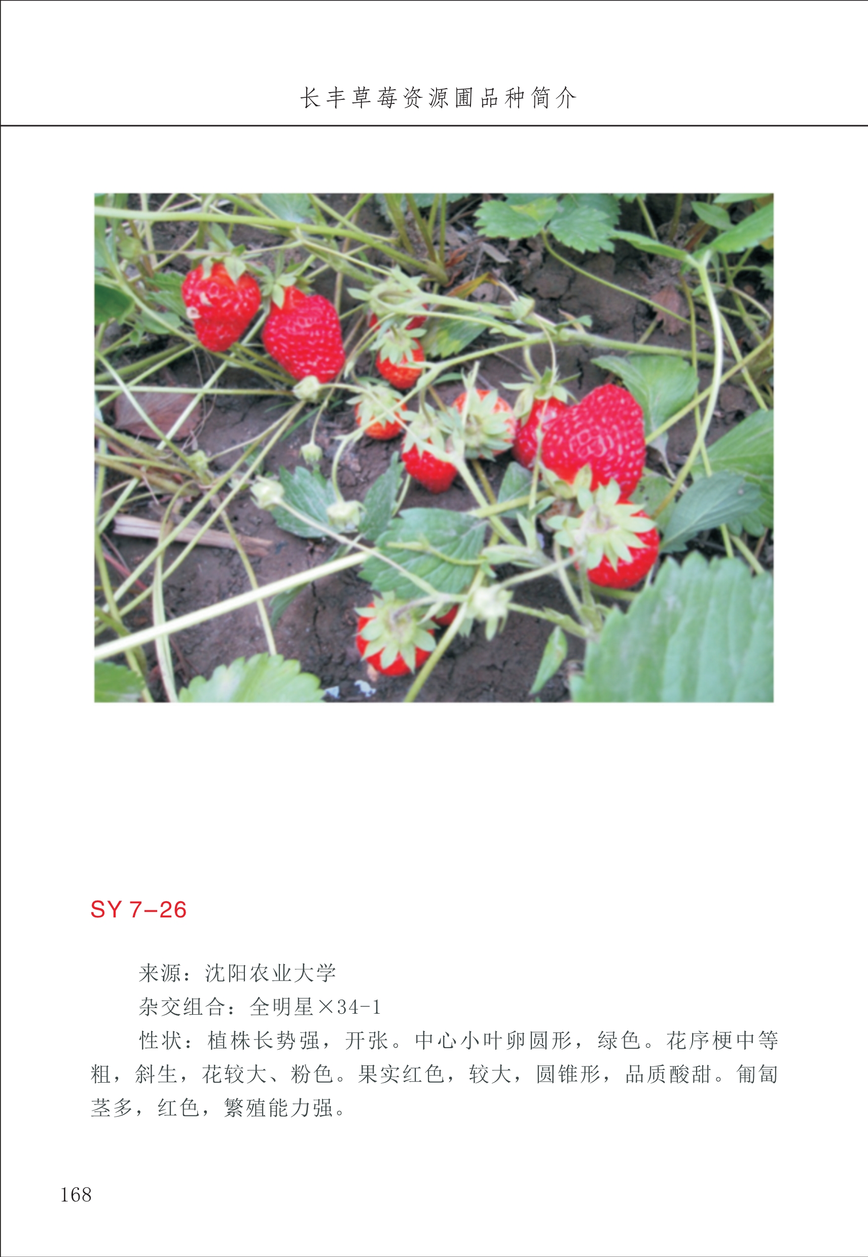 長豐農(nóng)技中心2_68.jpg