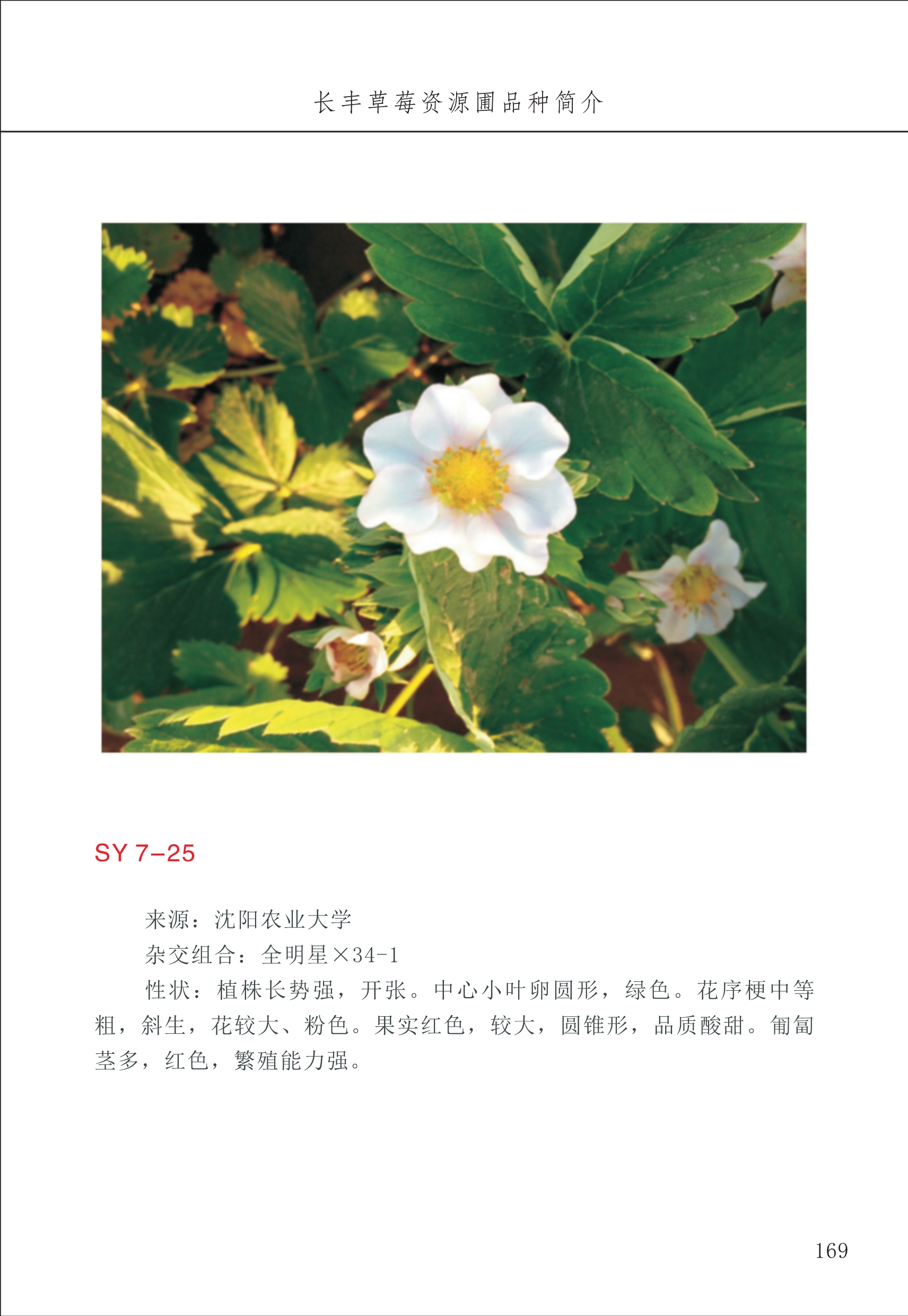 長(zhǎng)豐農(nóng)技中心2_69.jpg