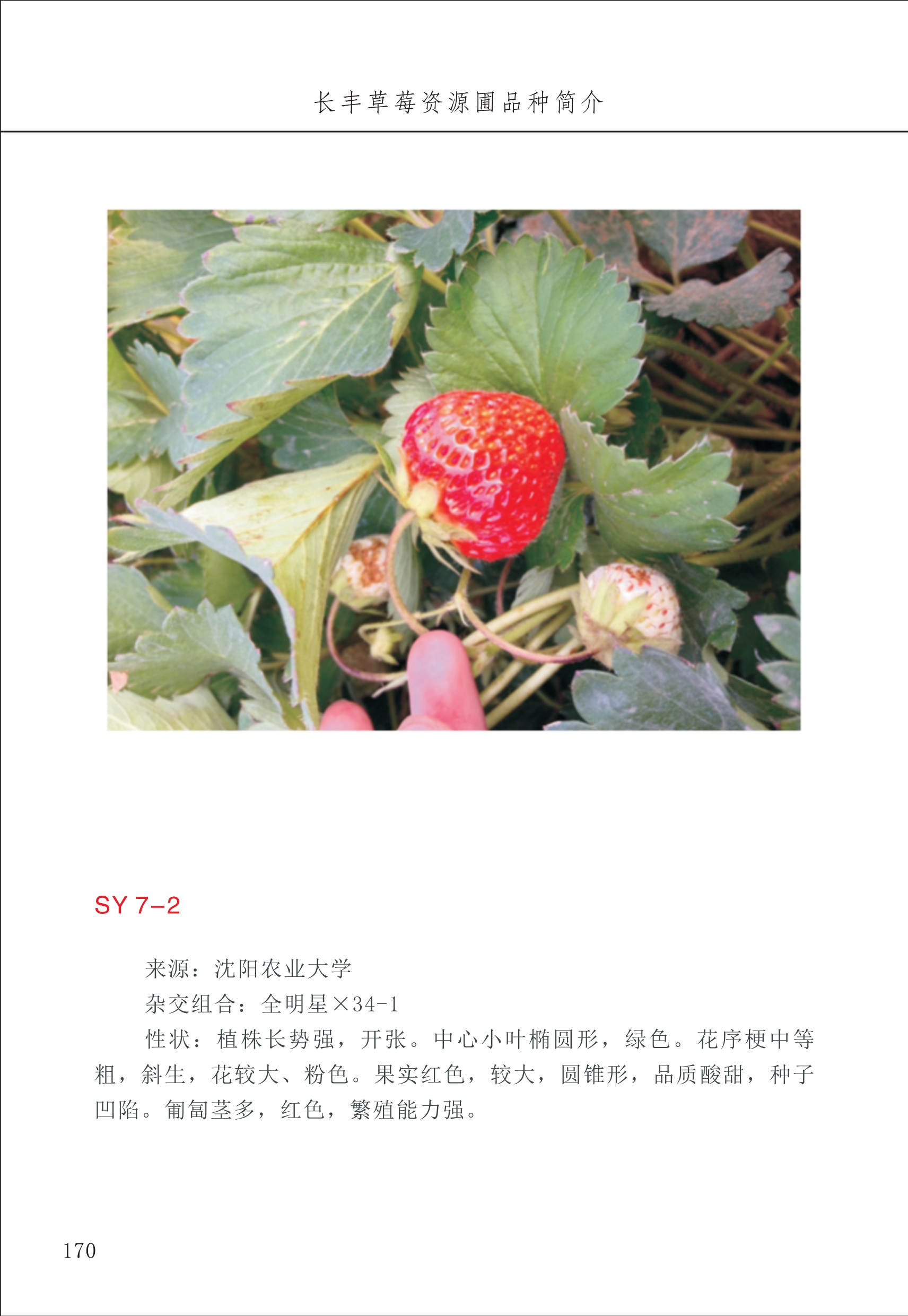 長豐農(nóng)技中心2_70.jpg