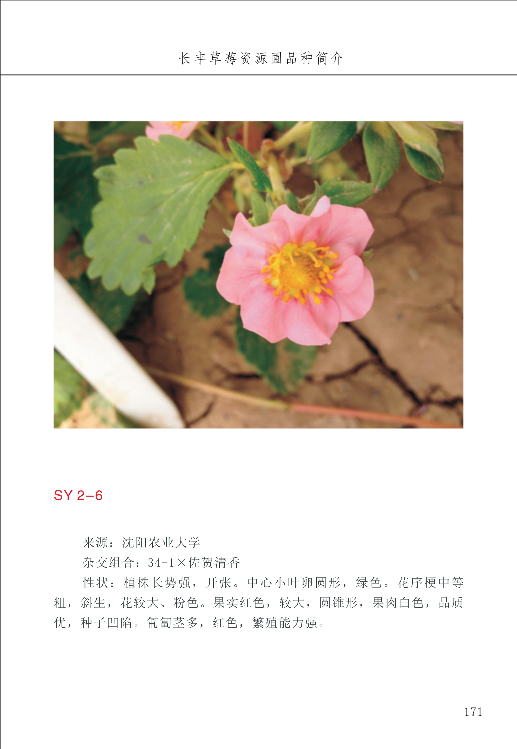 長豐農技中心2_71.jpg