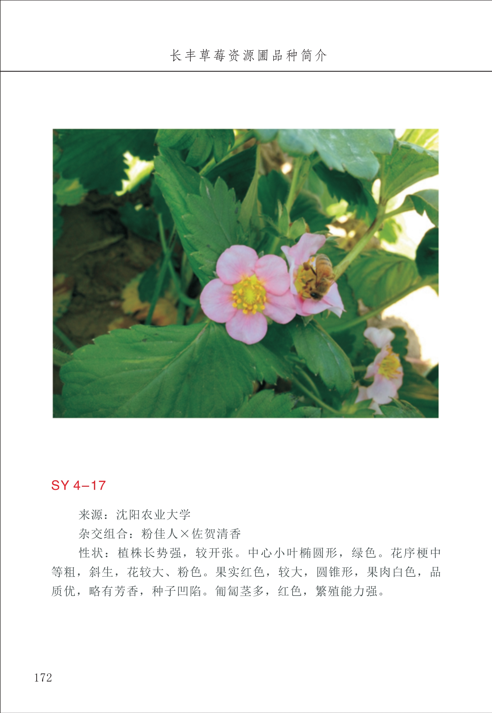 長豐農(nóng)技中心2_72.jpg