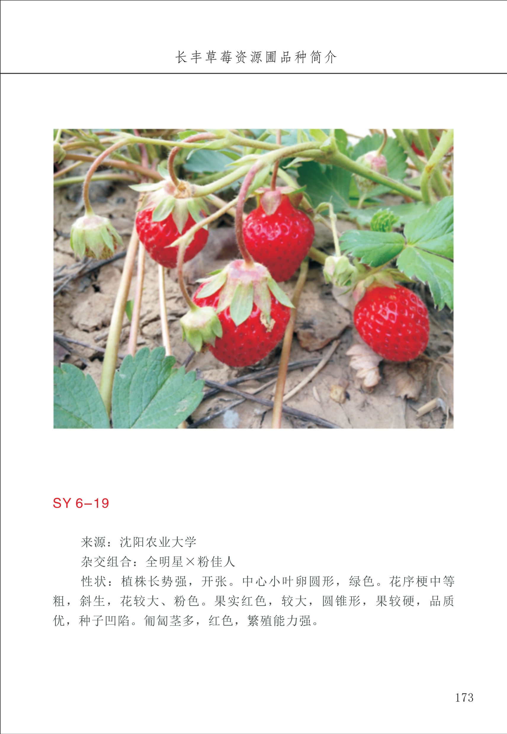 長豐農(nóng)技中心2_73.jpg