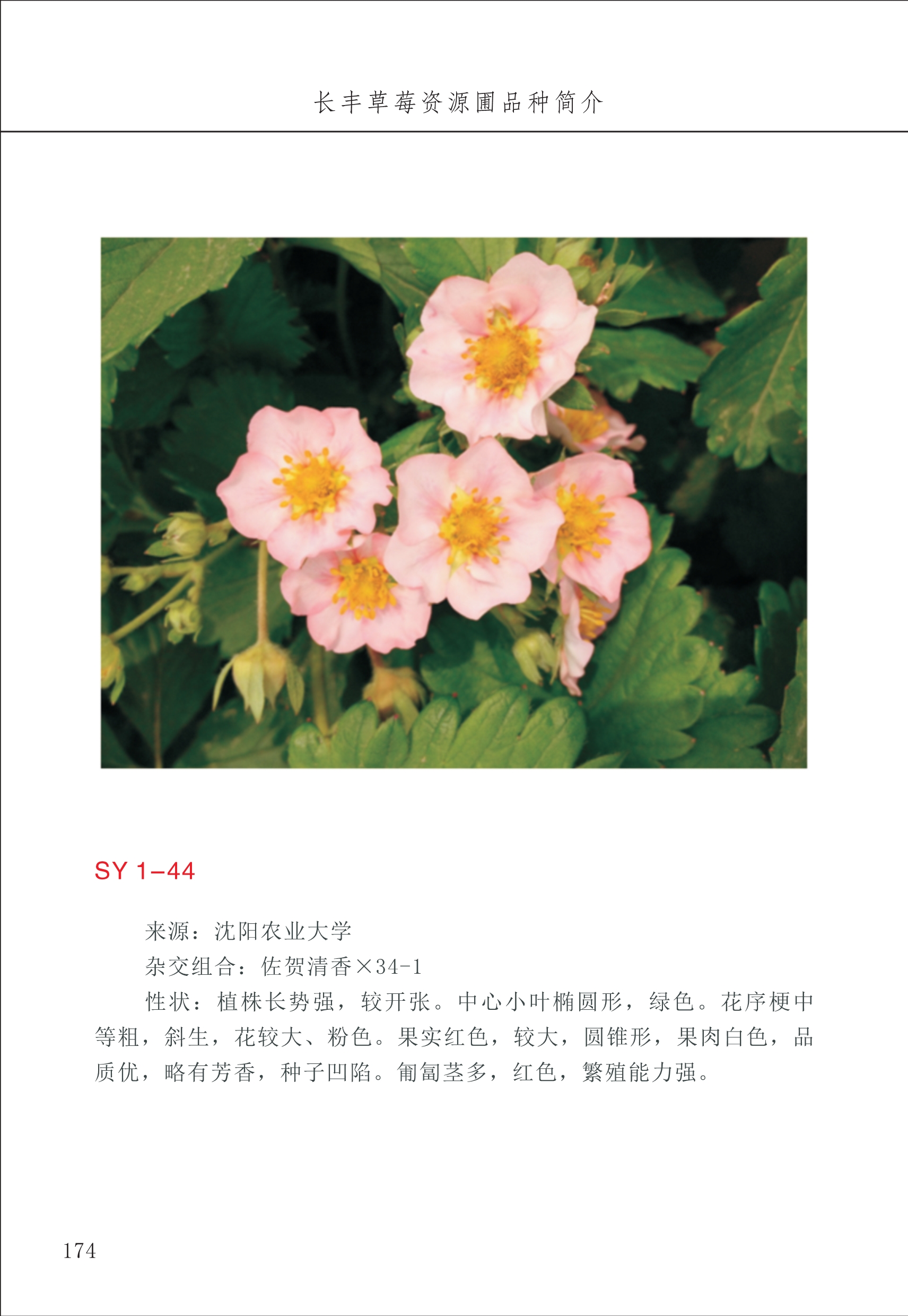 長豐農(nóng)技中心2_74.jpg