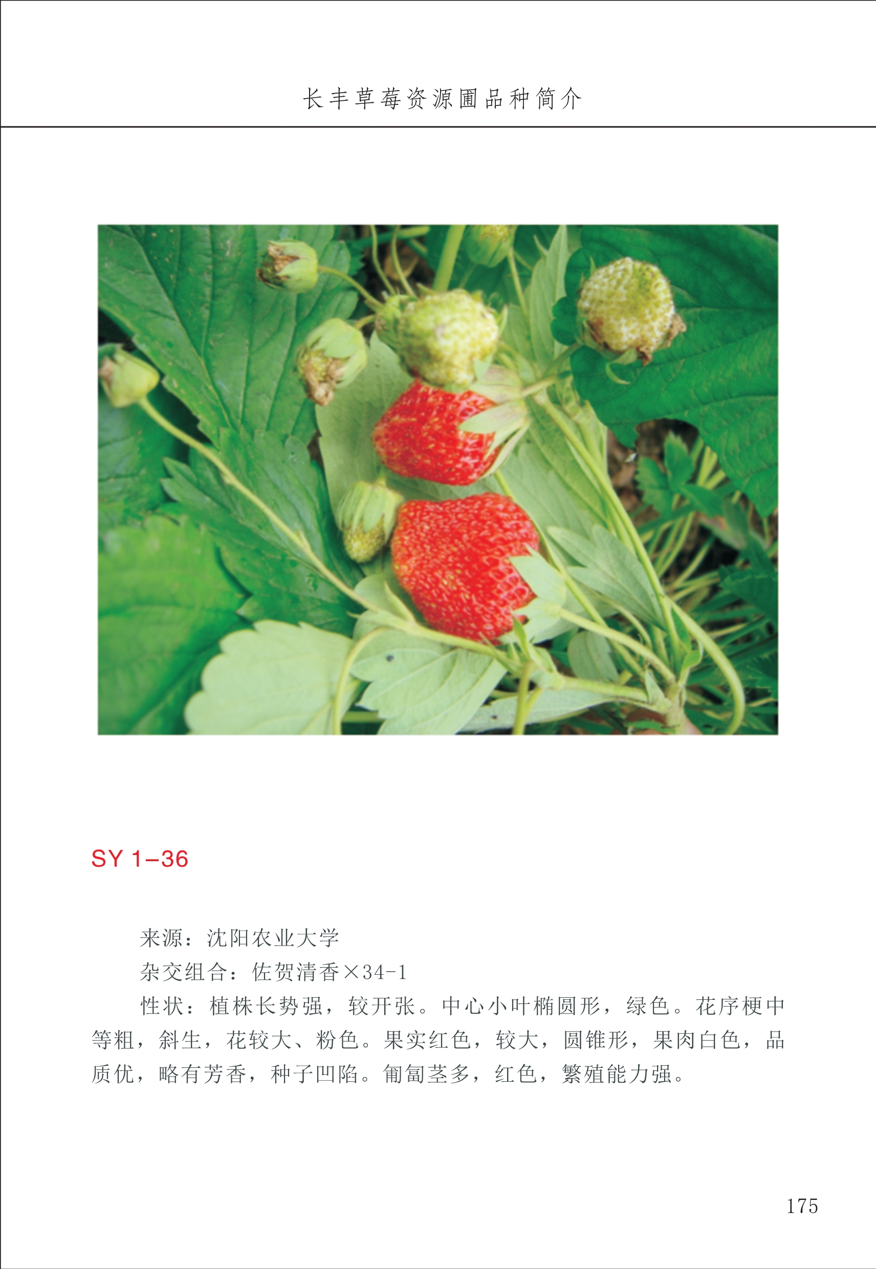 長(zhǎng)豐農(nóng)技中心2_75.jpg