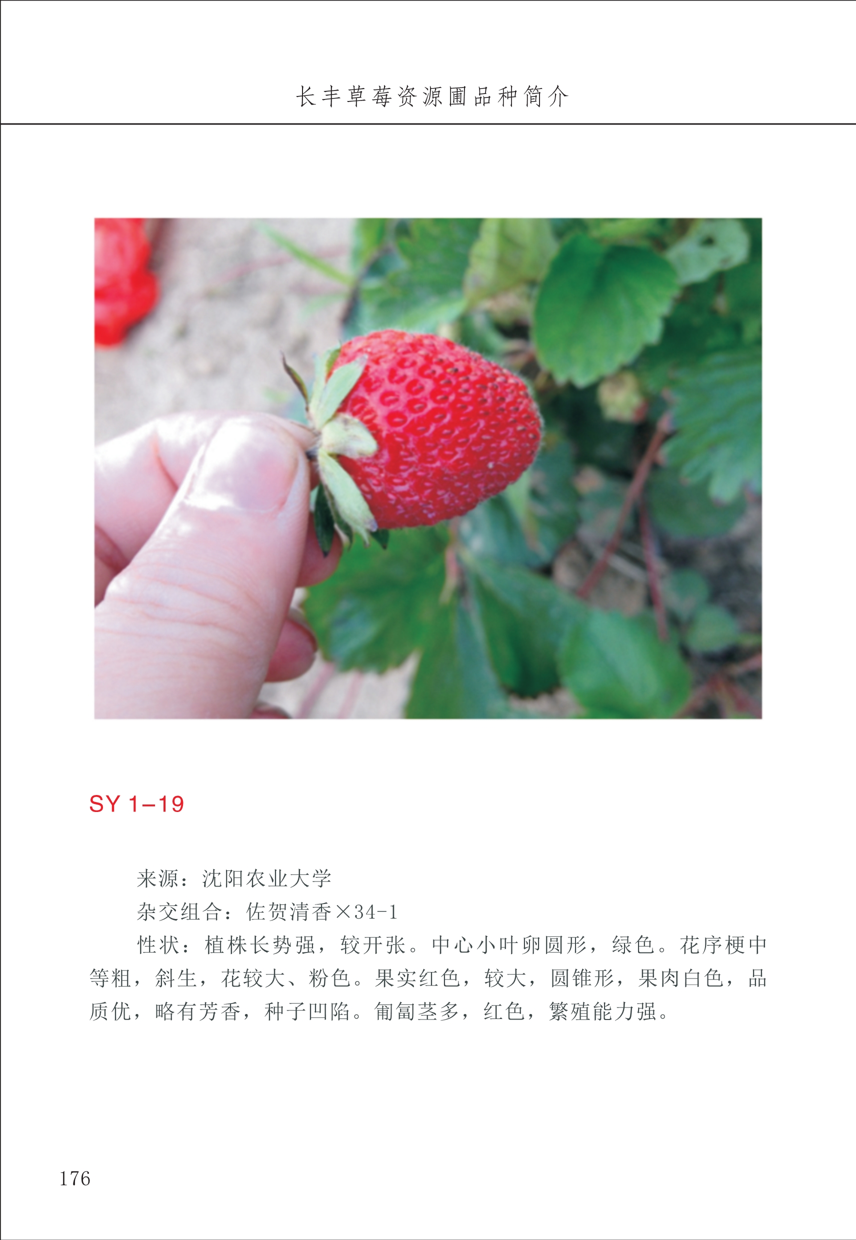 長豐農(nóng)技中心2_76.jpg