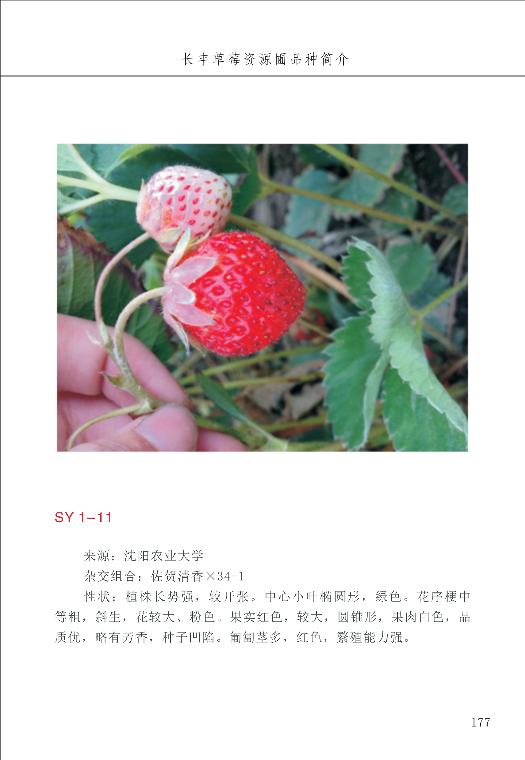 長豐農(nóng)技中心2_77.jpg