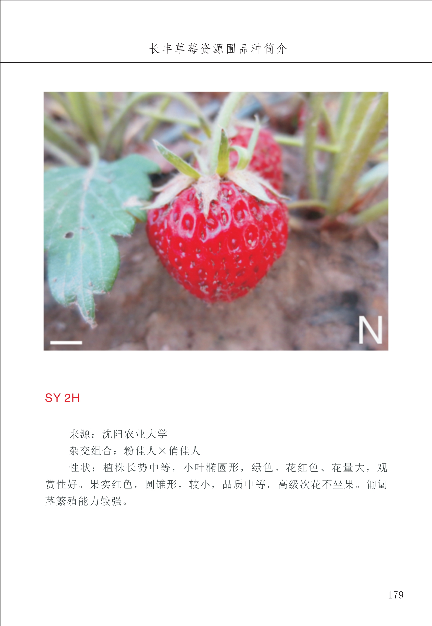 長(zhǎng)豐農(nóng)技中心2_79.jpg