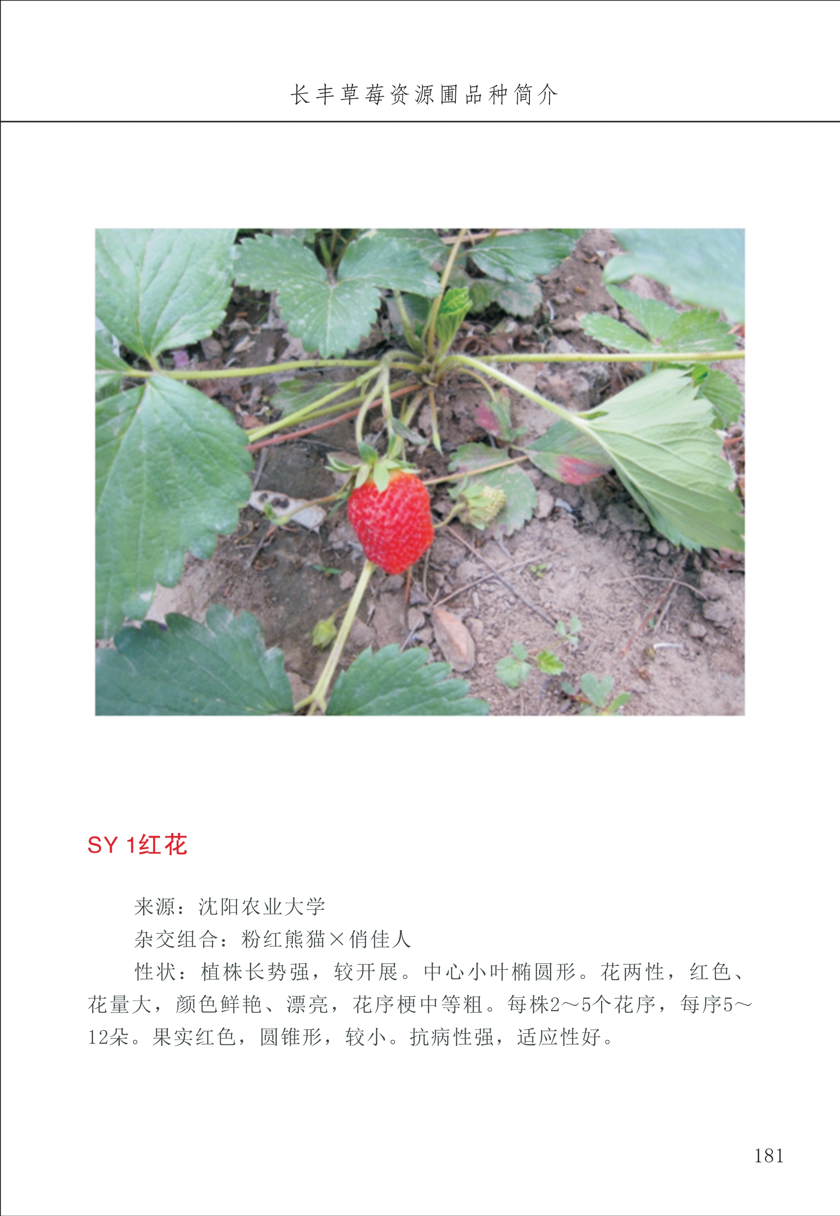 長豐農(nóng)技中心2_81.jpg