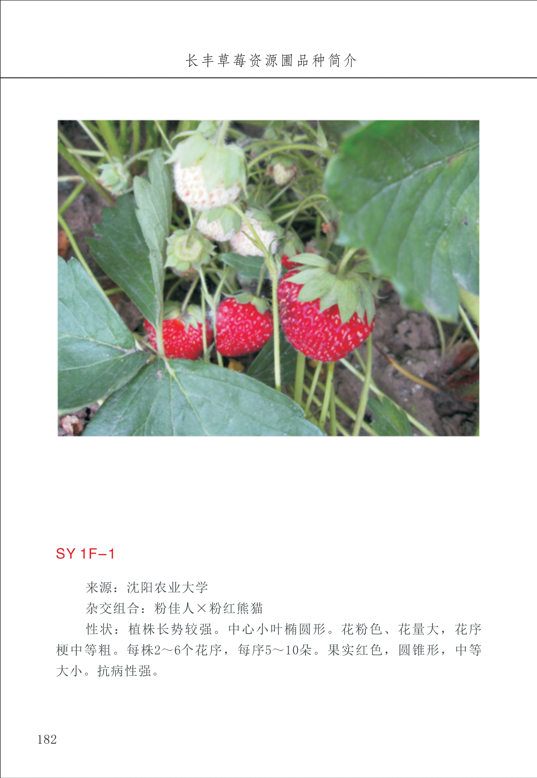 長豐農(nóng)技中心2_82.jpg