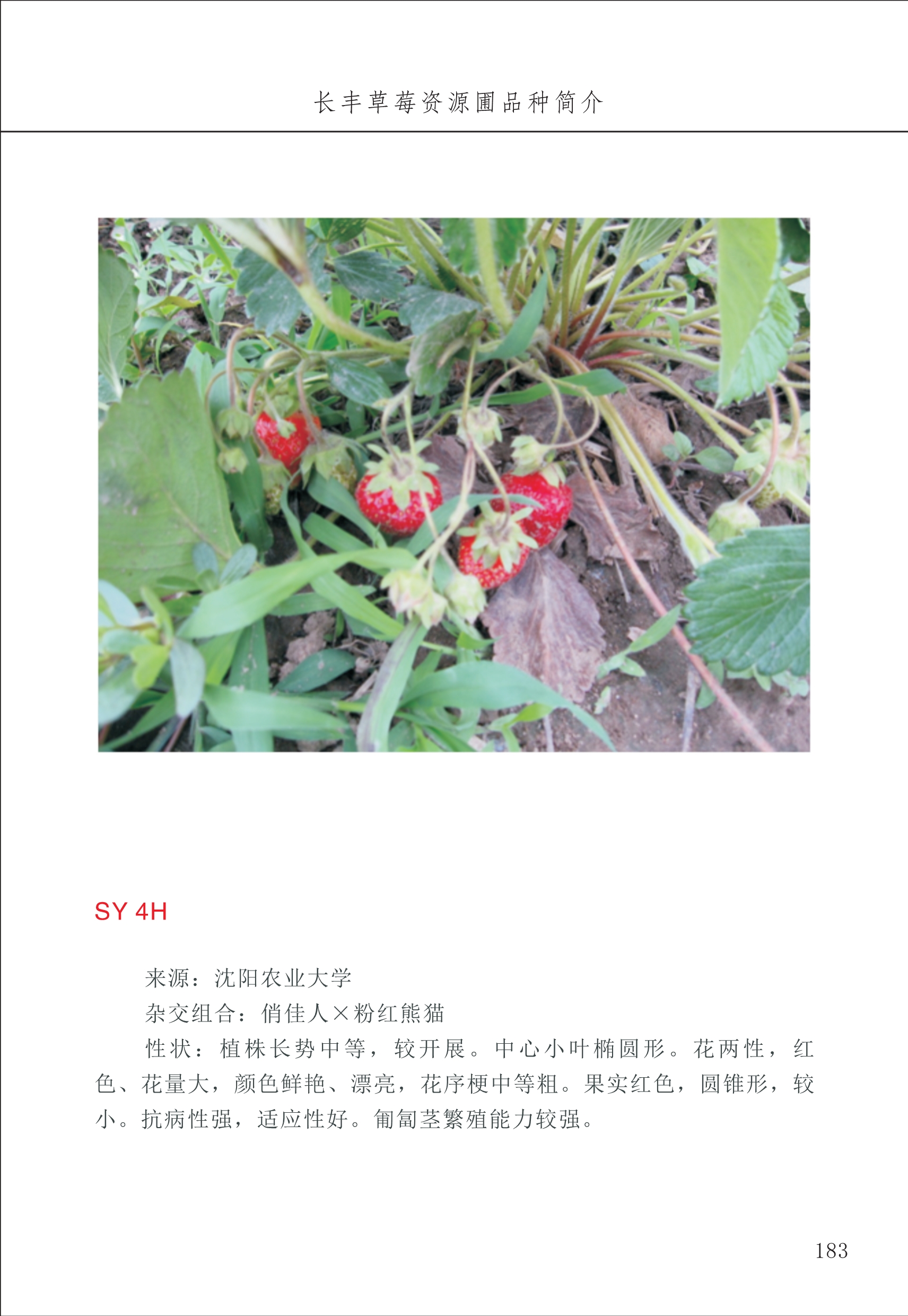 長豐農(nóng)技中心2_83.jpg
