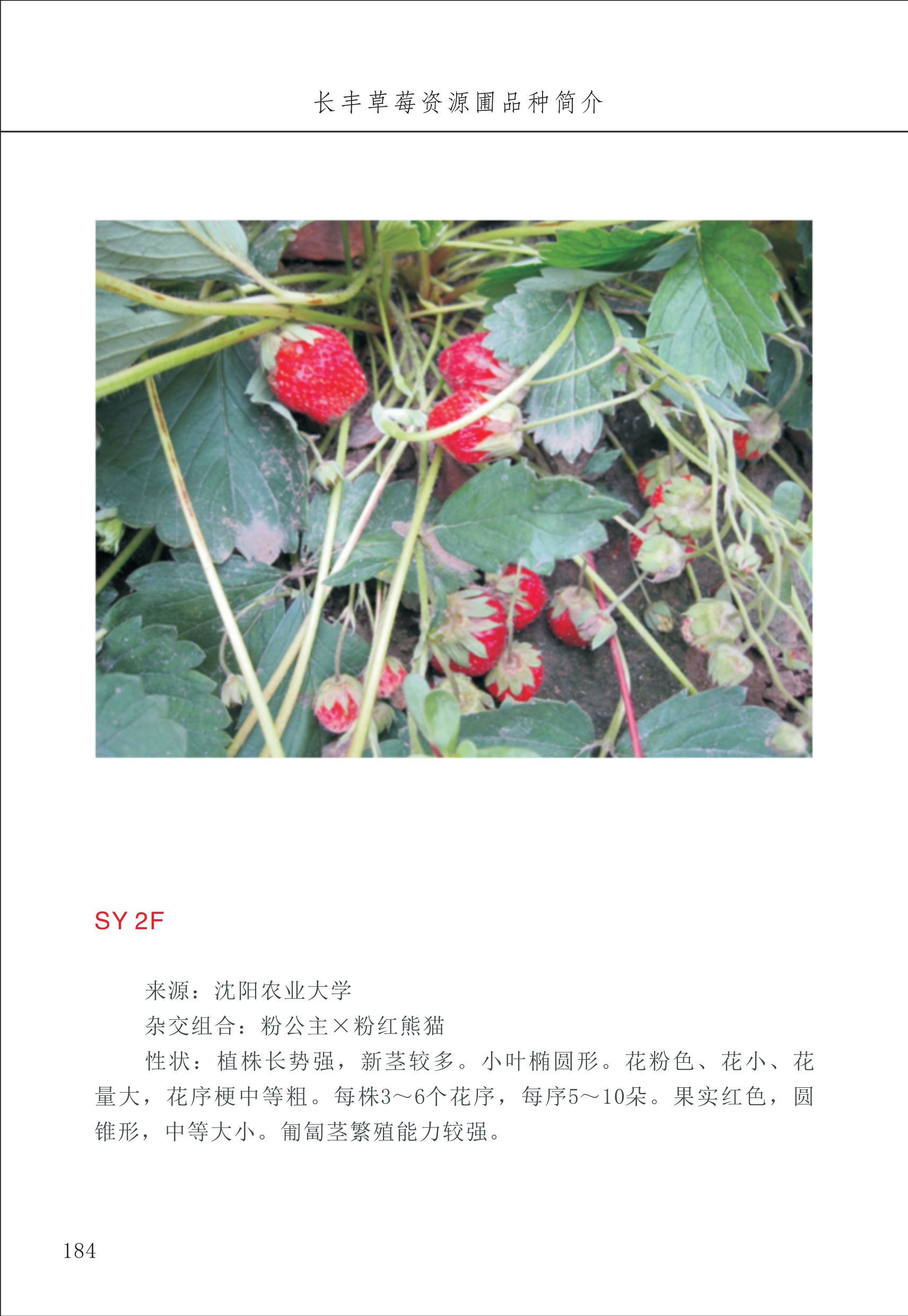 長豐農(nóng)技中心2_84.jpg