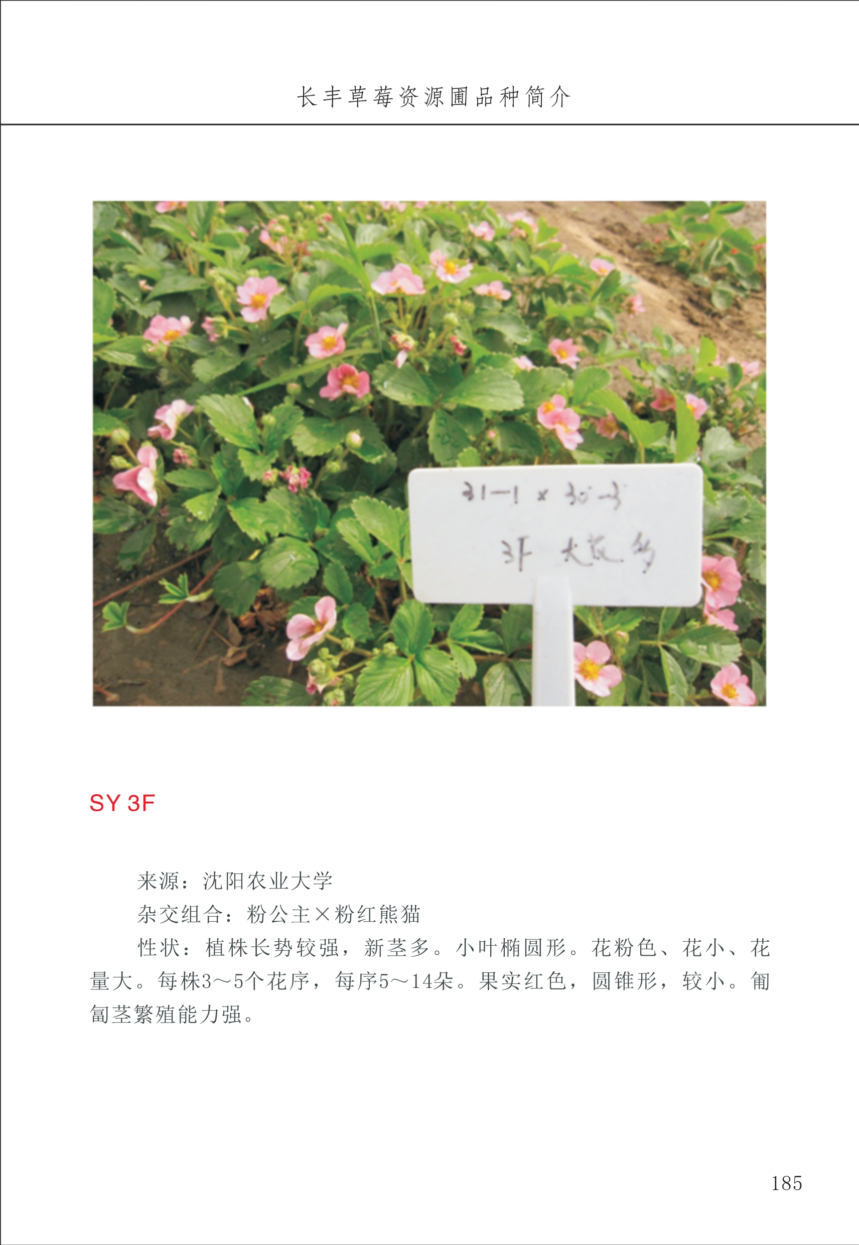長豐農(nóng)技中心2_85.jpg
