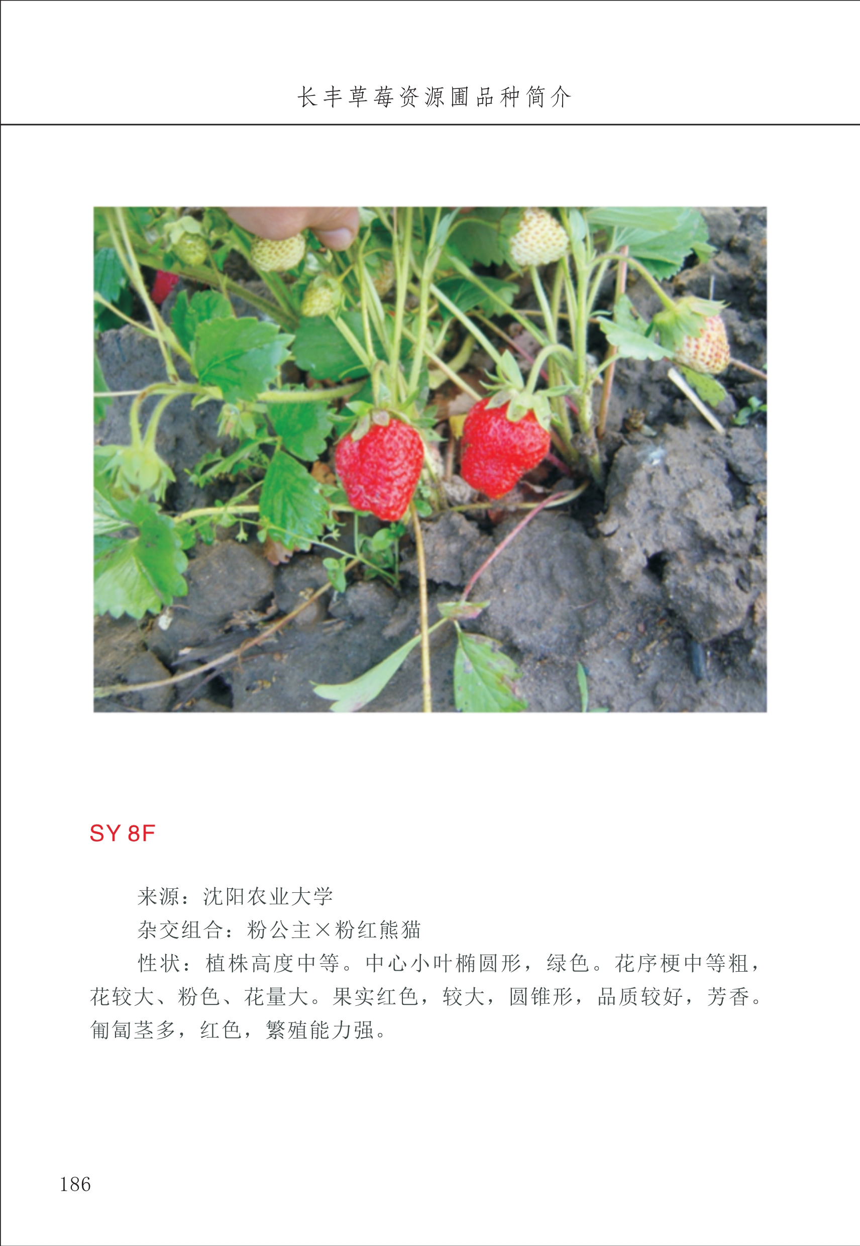 長(zhǎng)豐農(nóng)技中心2_86.jpg