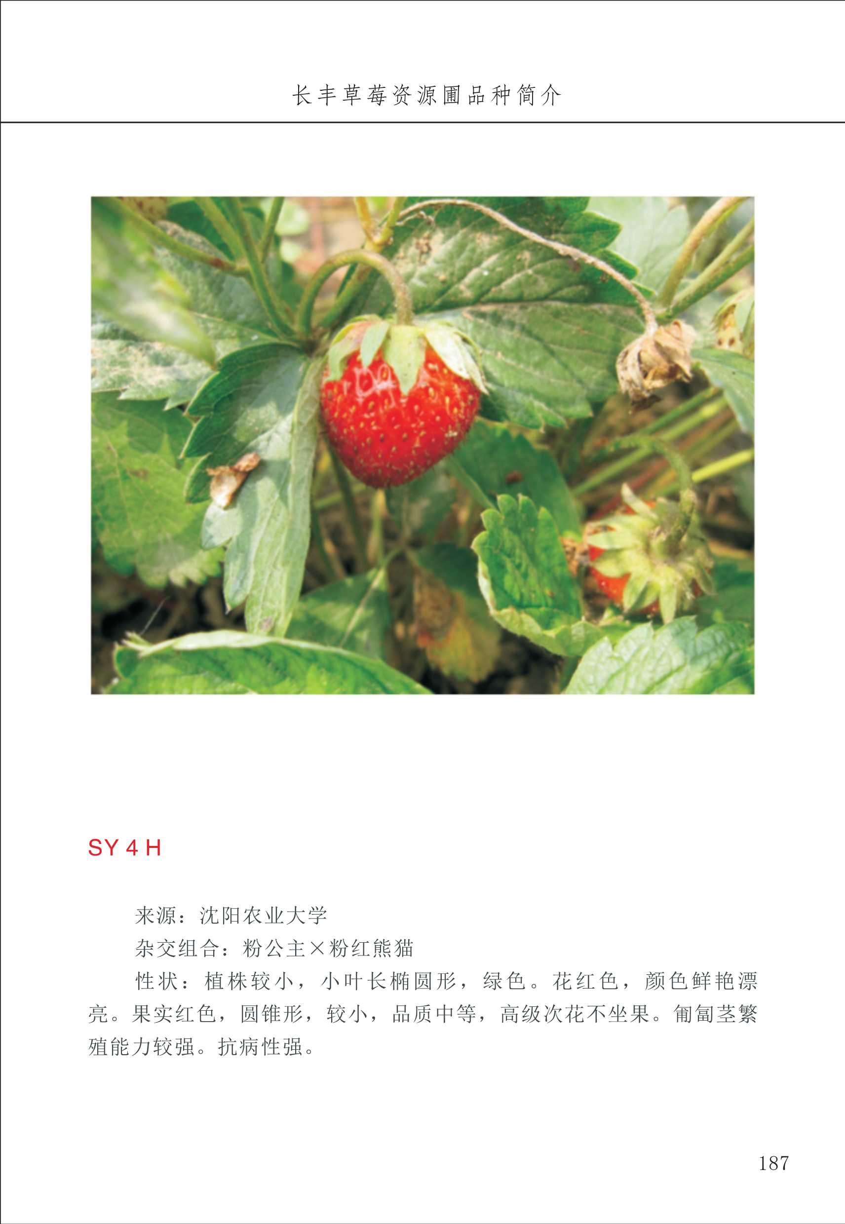 長豐農(nóng)技中心2_87.jpg