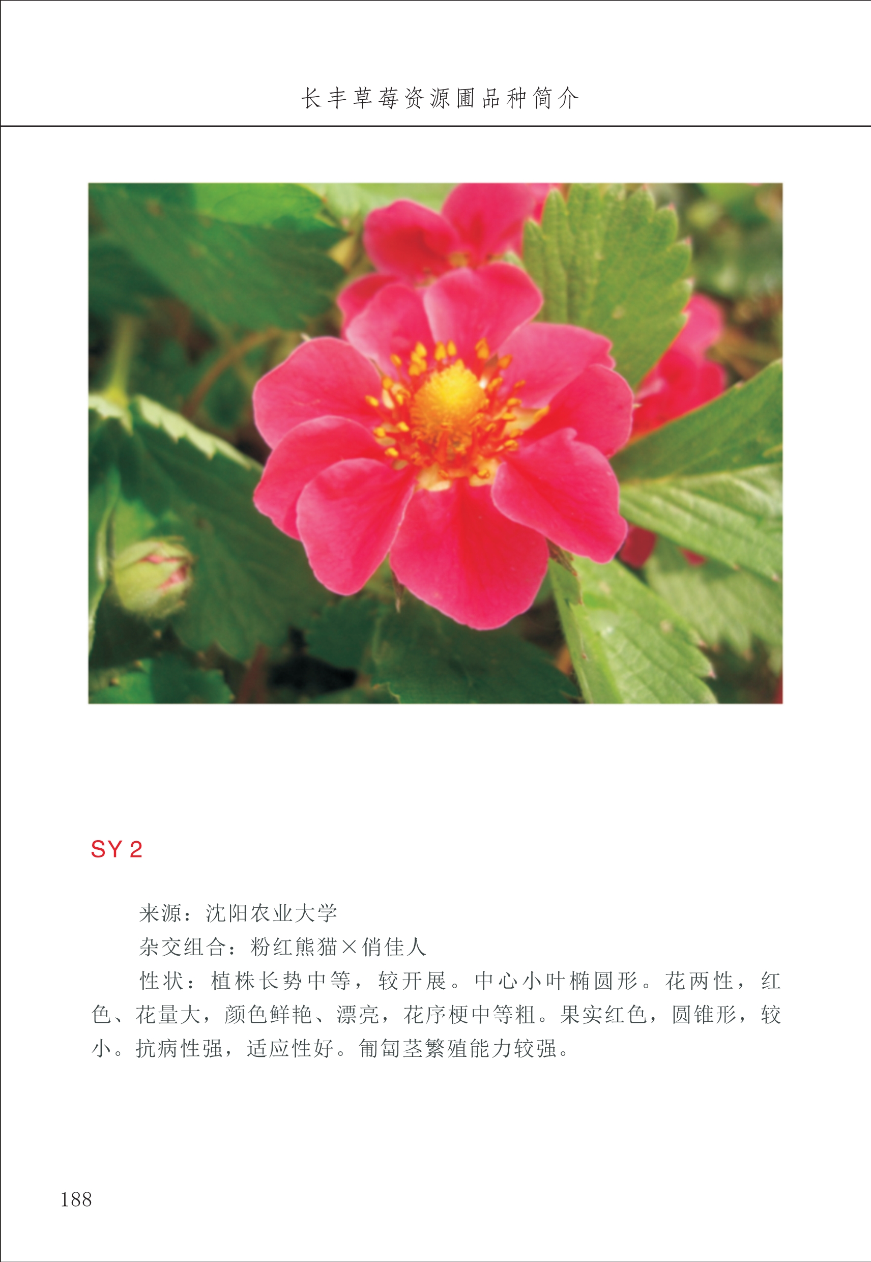 長豐農(nóng)技中心2_88.jpg
