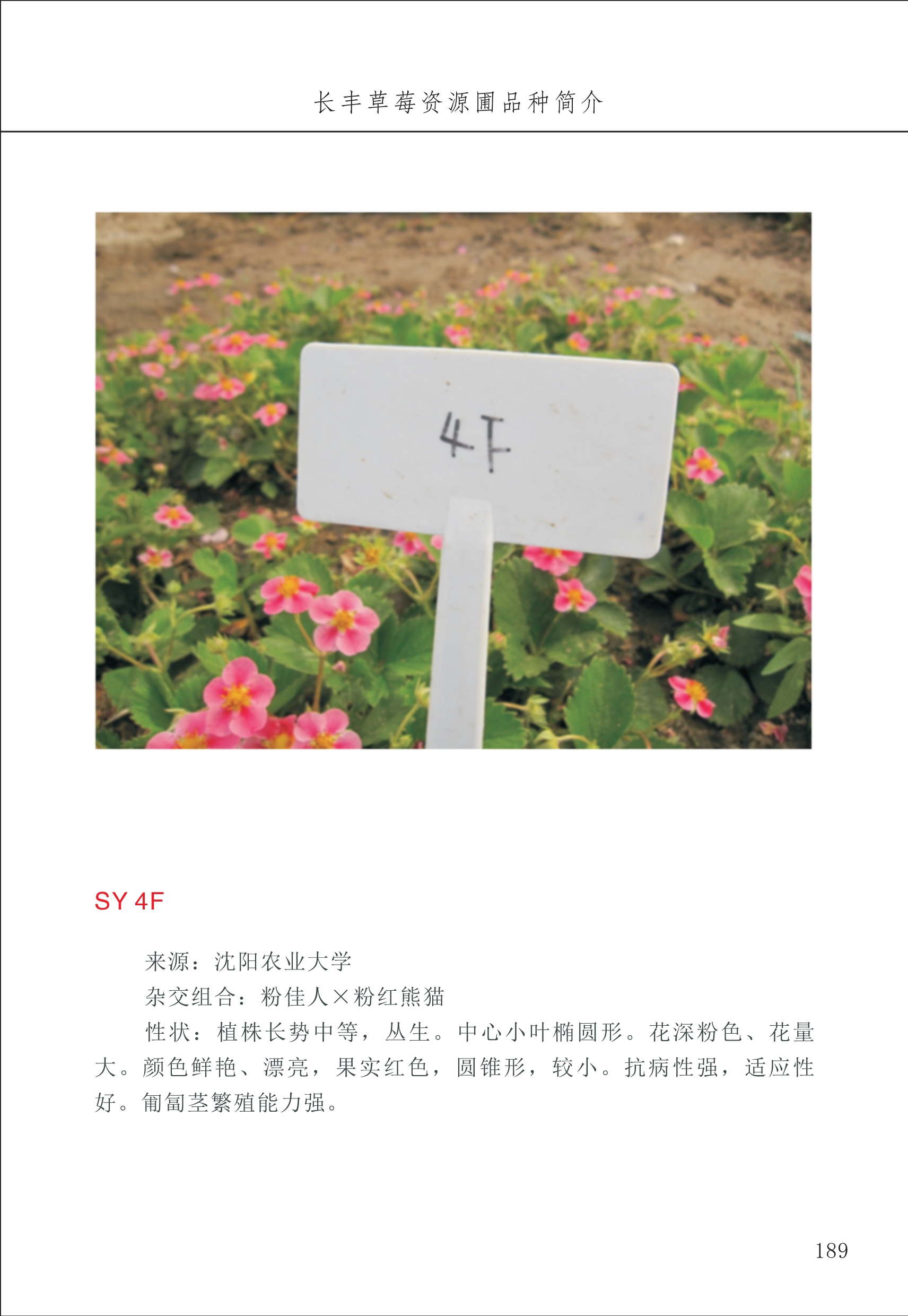 長(zhǎng)豐農(nóng)技中心2_89.jpg