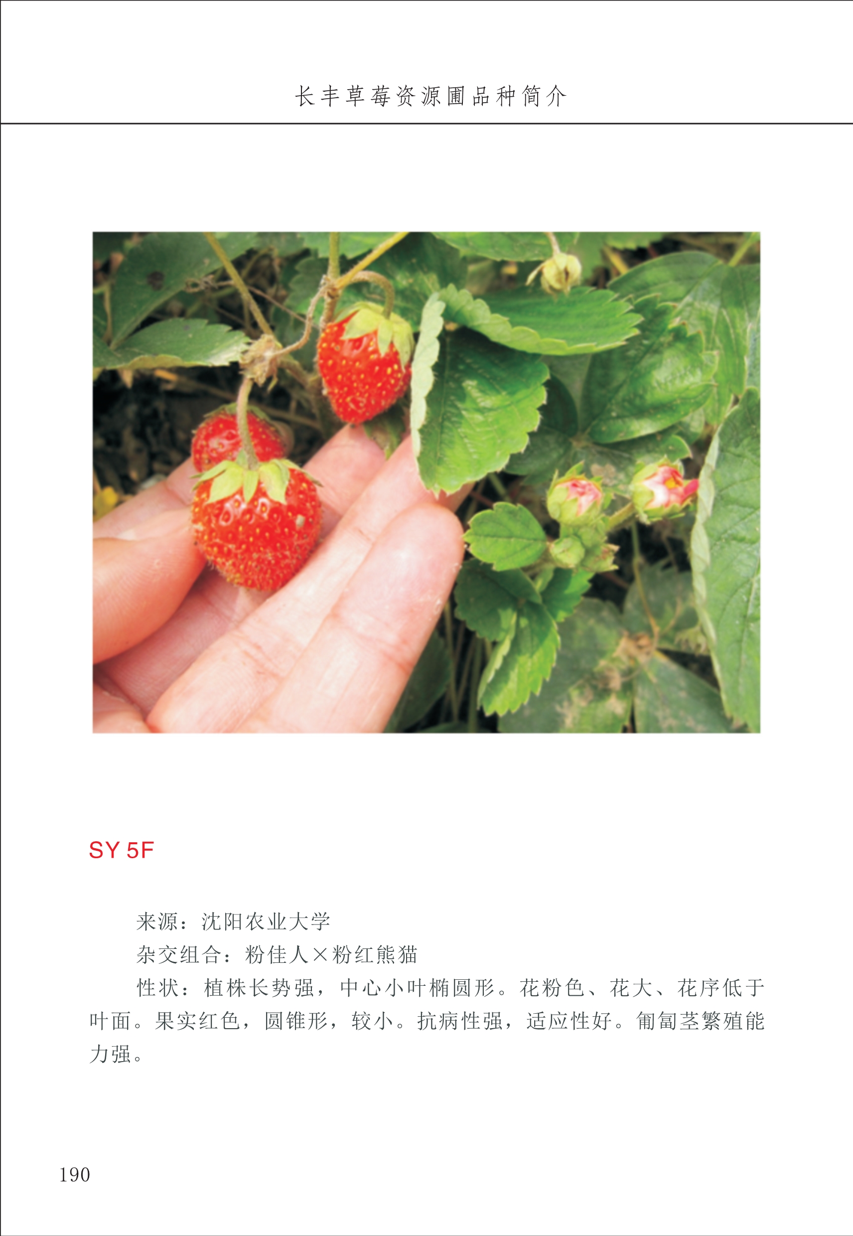 長豐農(nóng)技中心2_90.jpg
