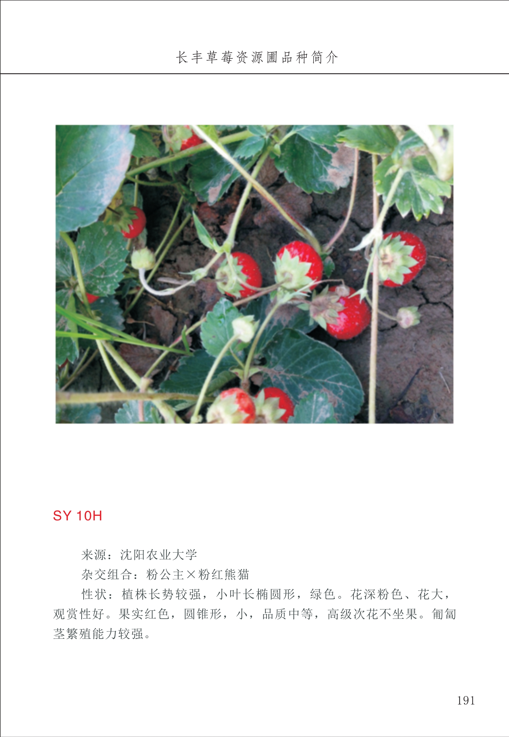 長(zhǎng)豐農(nóng)技中心2_91.jpg