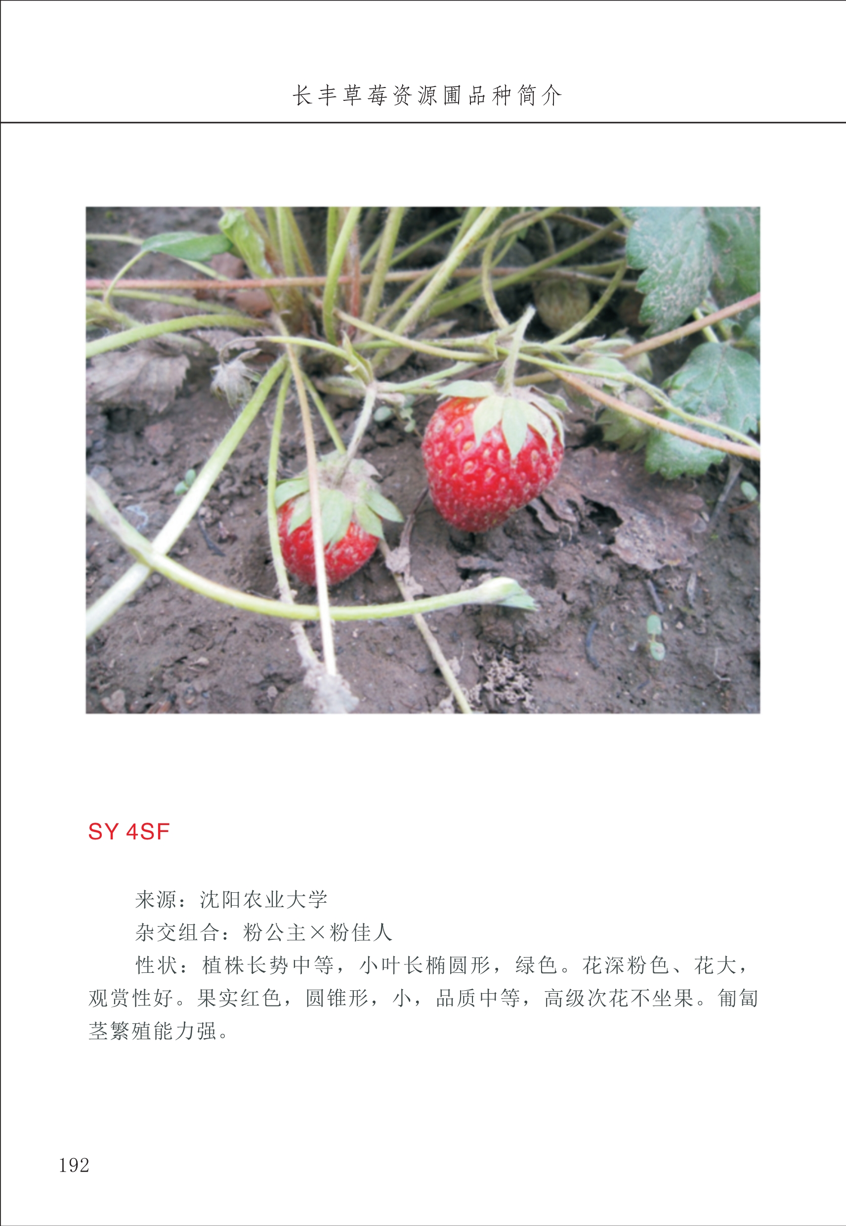 長(zhǎng)豐農(nóng)技中心2_92.jpg