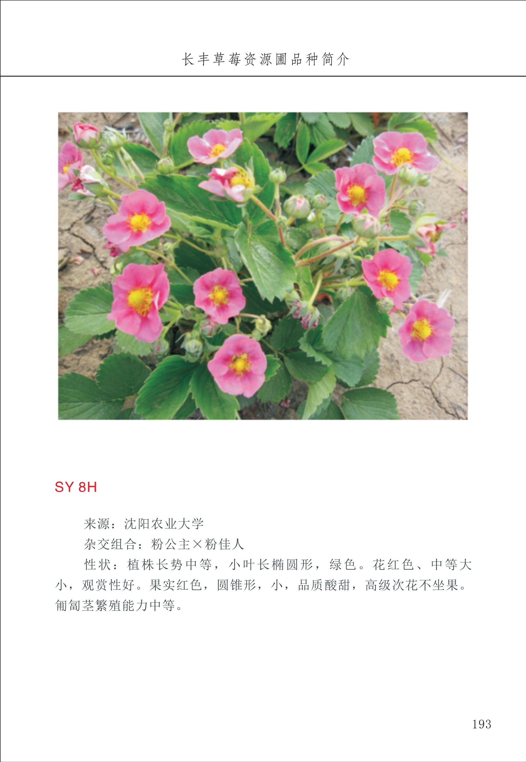 長豐農(nóng)技中心2_93.jpg
