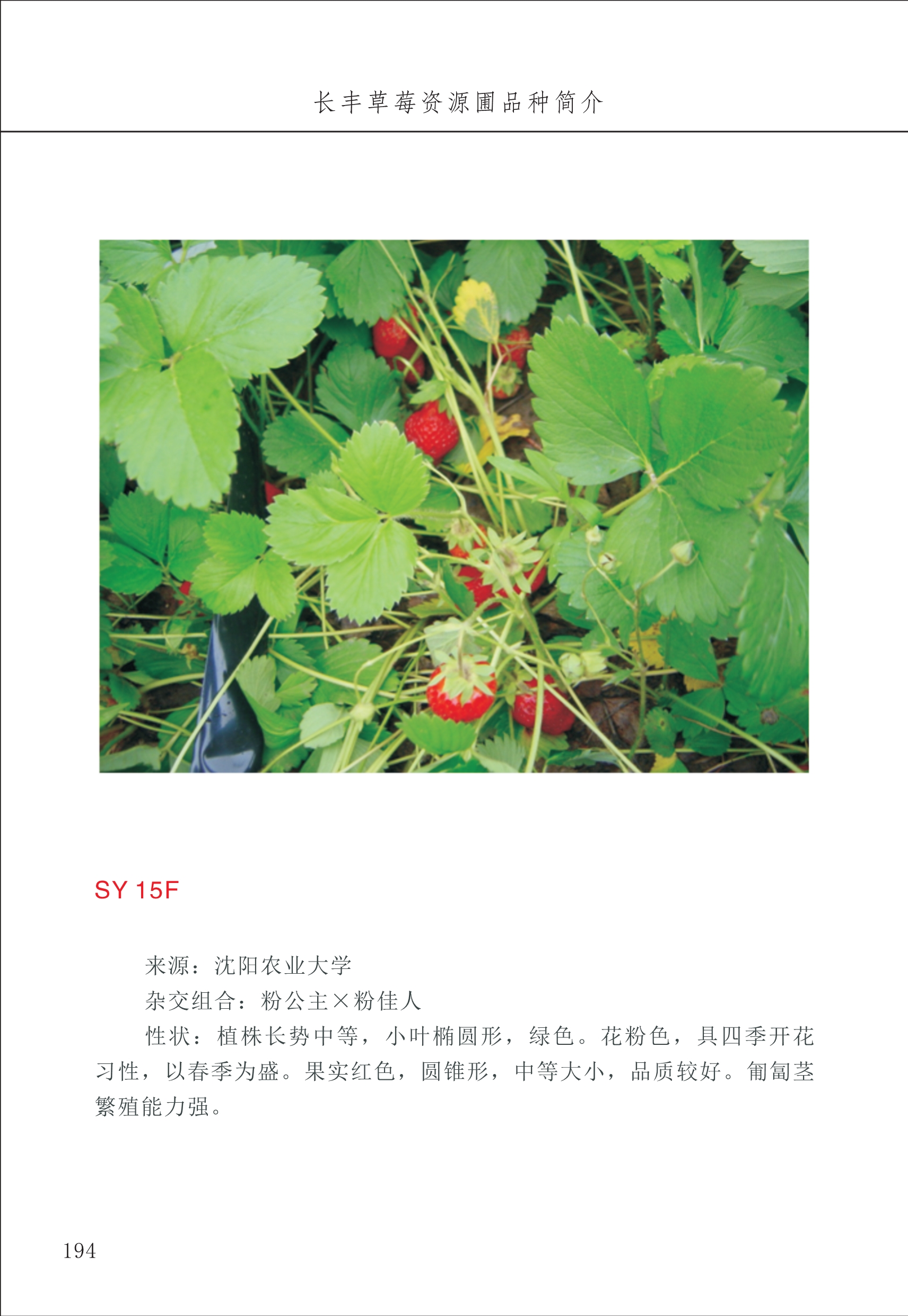 長豐農(nóng)技中心2_94.jpg