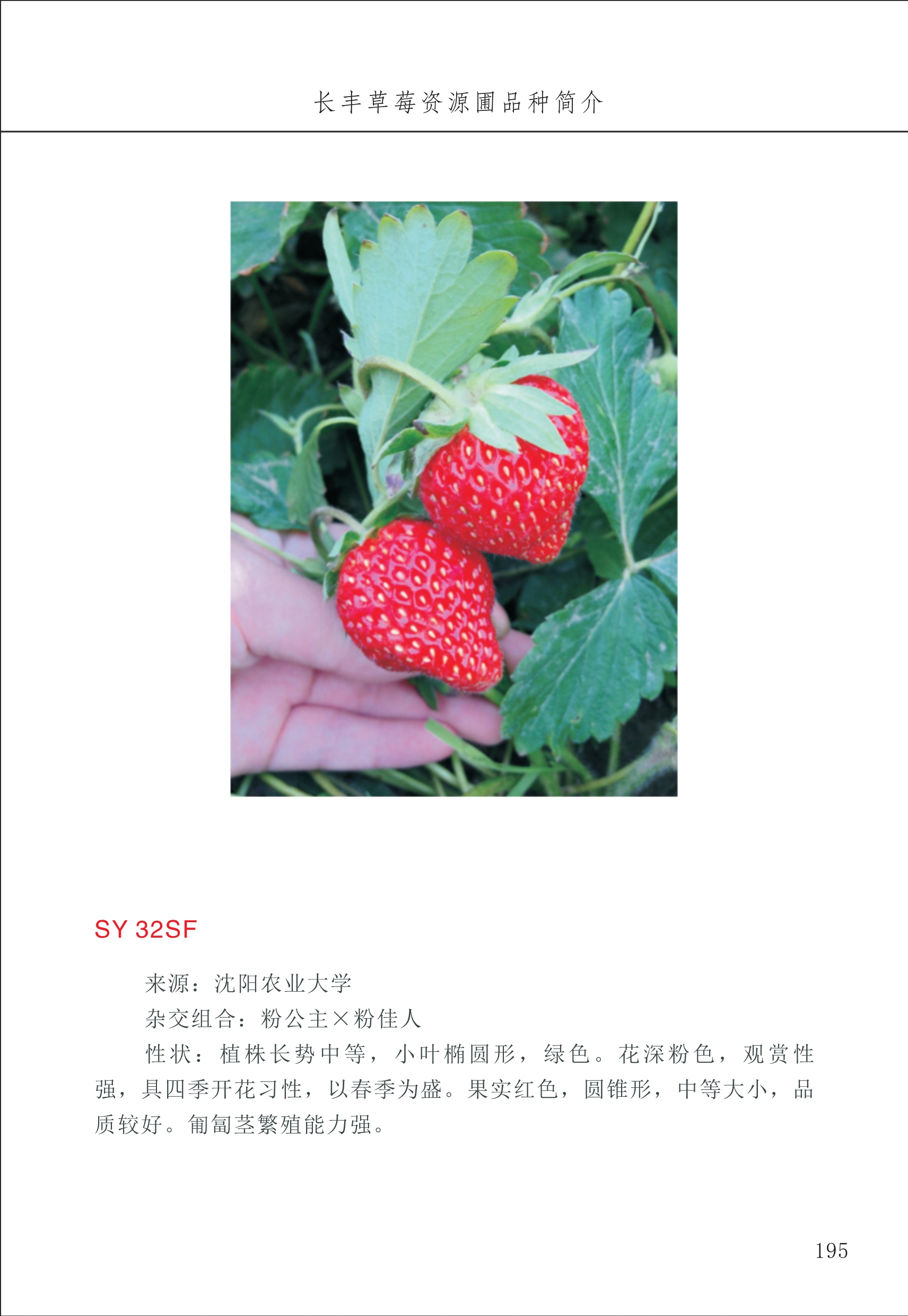 長豐農技中心2_95.jpg