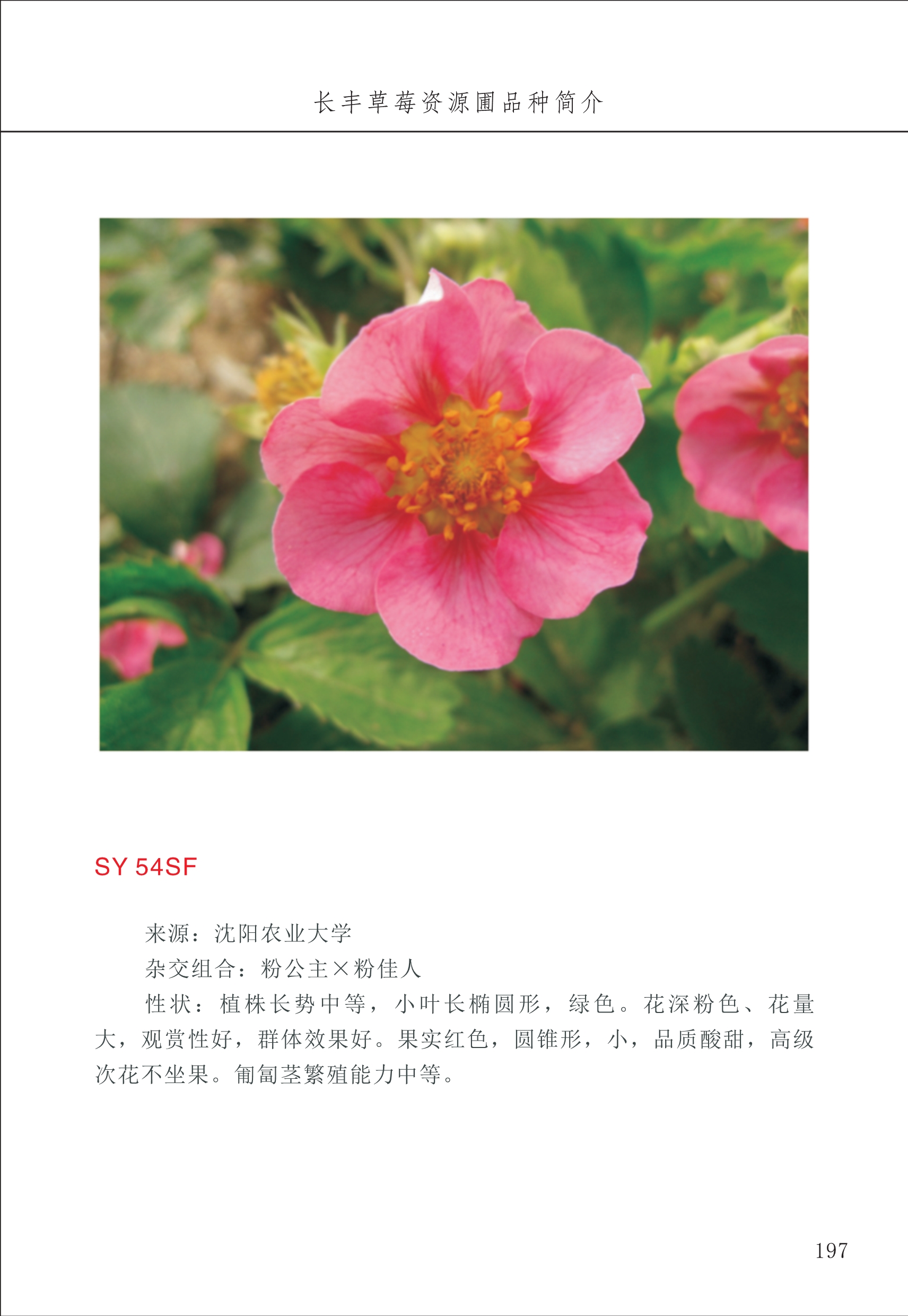 長豐農(nóng)技中心2_97.jpg