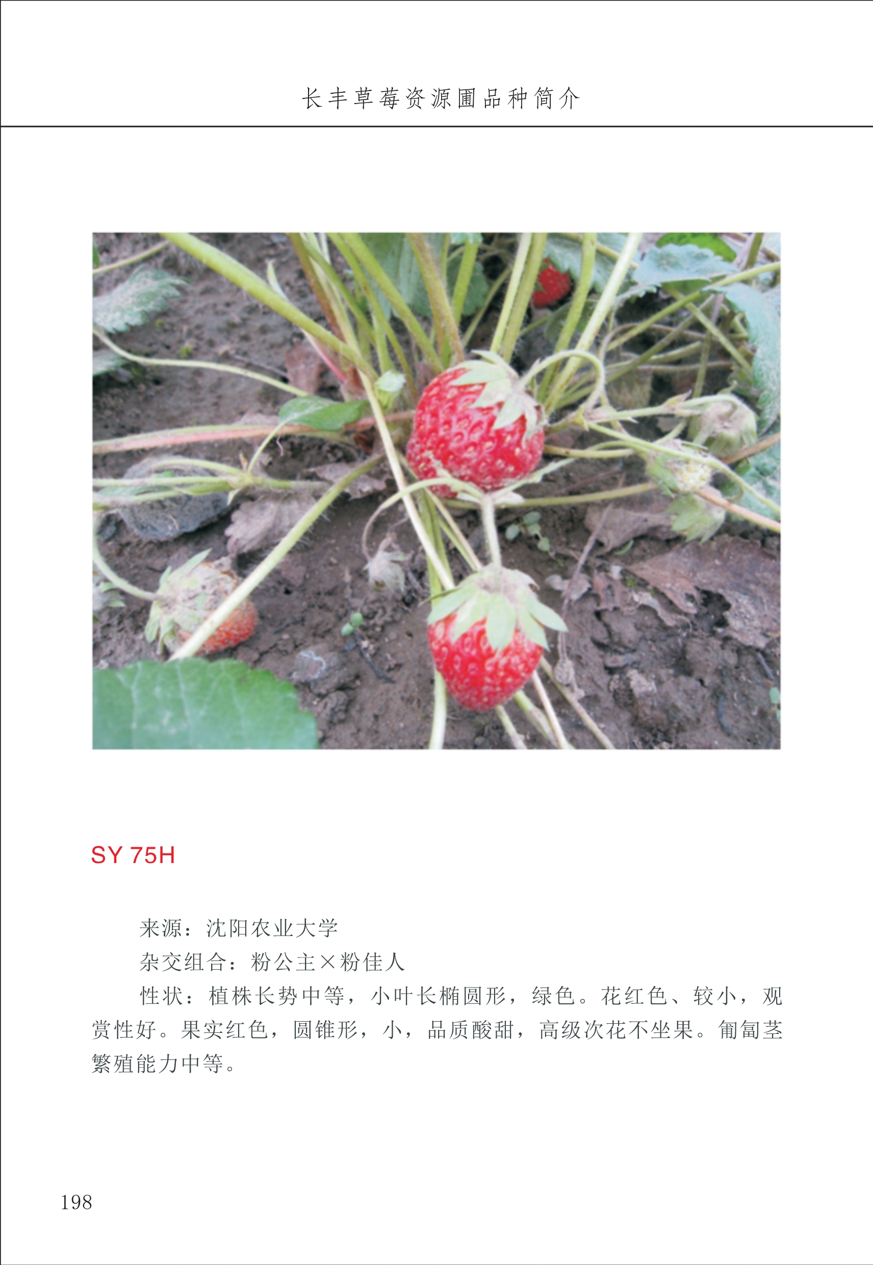 長豐農(nóng)技中心2_98.jpg
