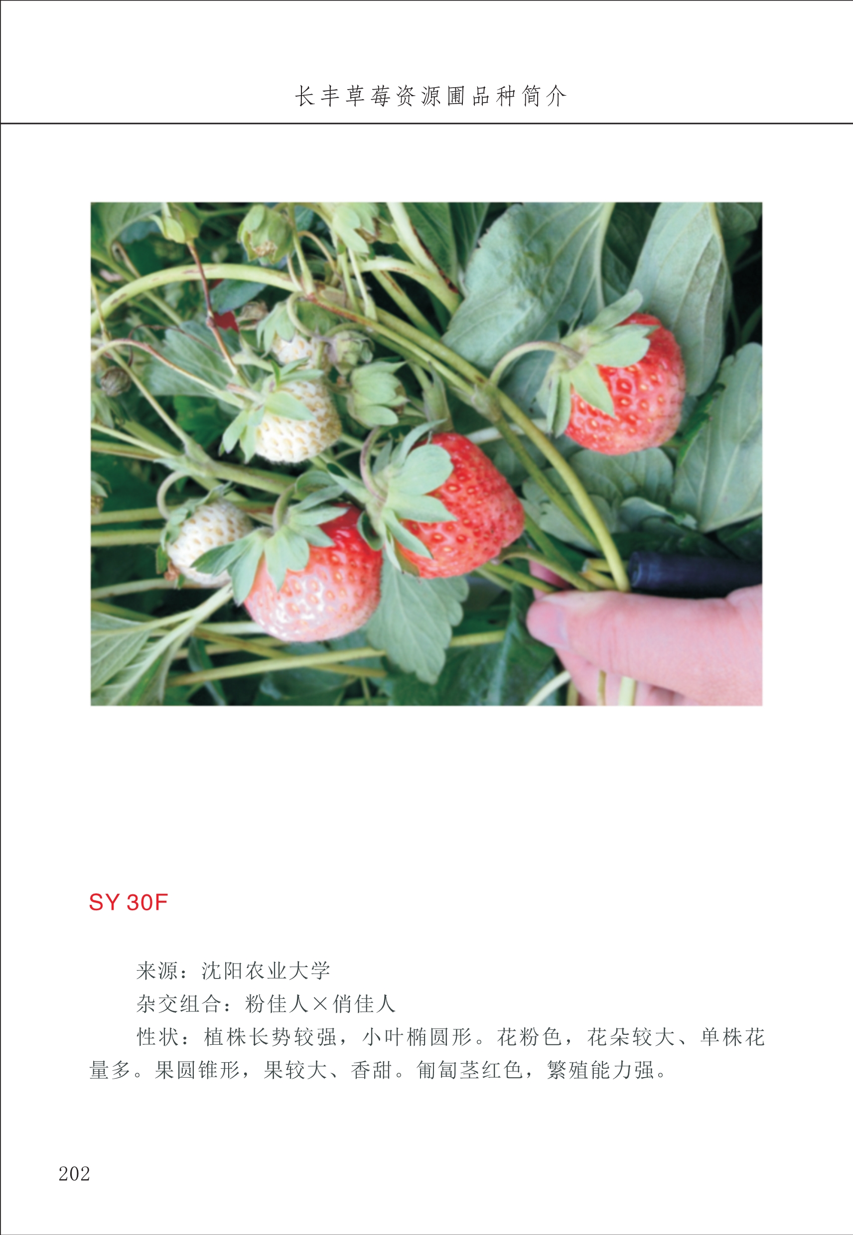 長(zhǎng)豐農(nóng)技中心3_2.jpg