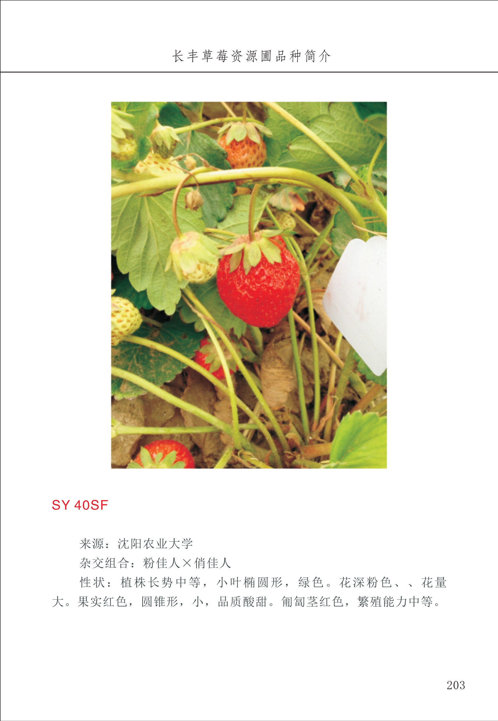 長豐農(nóng)技中心3_3.jpg
