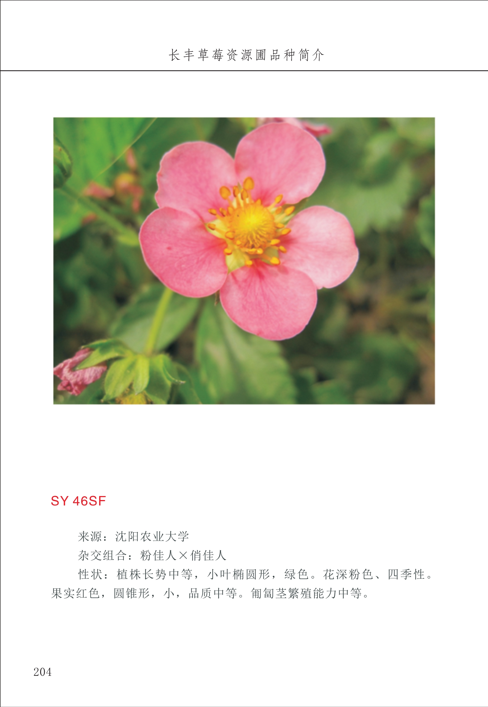 長豐農(nóng)技中心3_4.jpg