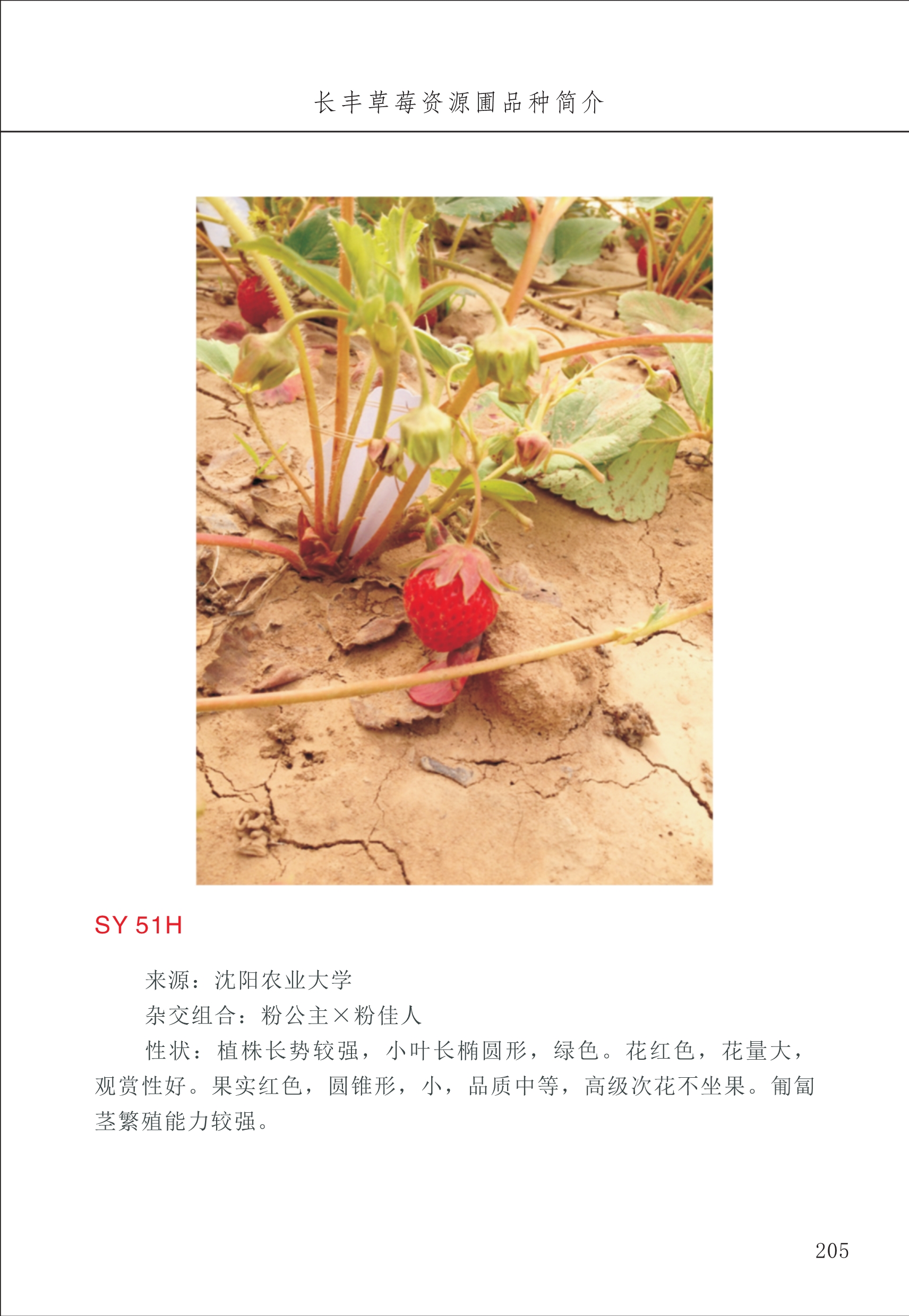長豐農(nóng)技中心3_5.jpg