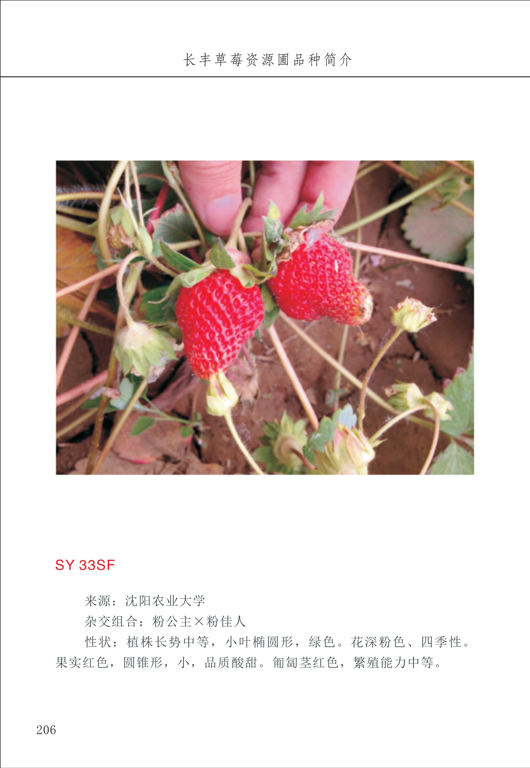 長豐農技中心3_6.jpg